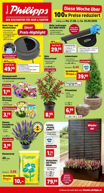 Thomas Philipps Flugblatt (ab 31.08.2026) - Angebote und Prospekt