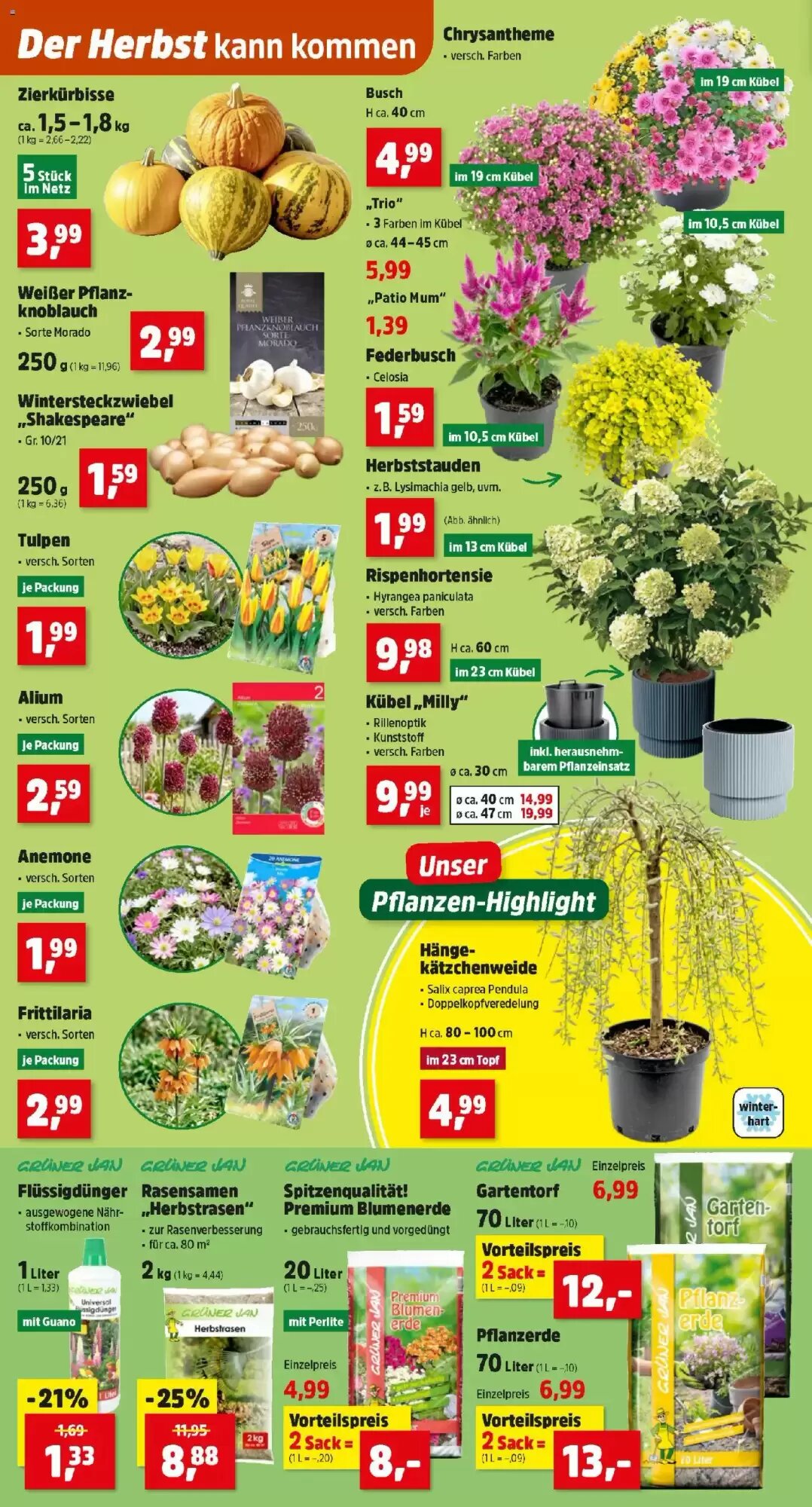 Thomas Philipps Flugblatt (ab 31.08.2026) - Angebote und Prospekt - Seite 2