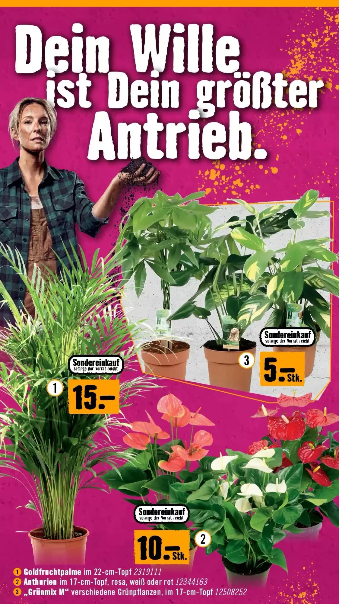 Hornbach Flugblatt (ab 02.09.2026) - Angebote und Prospekt - Seite 15