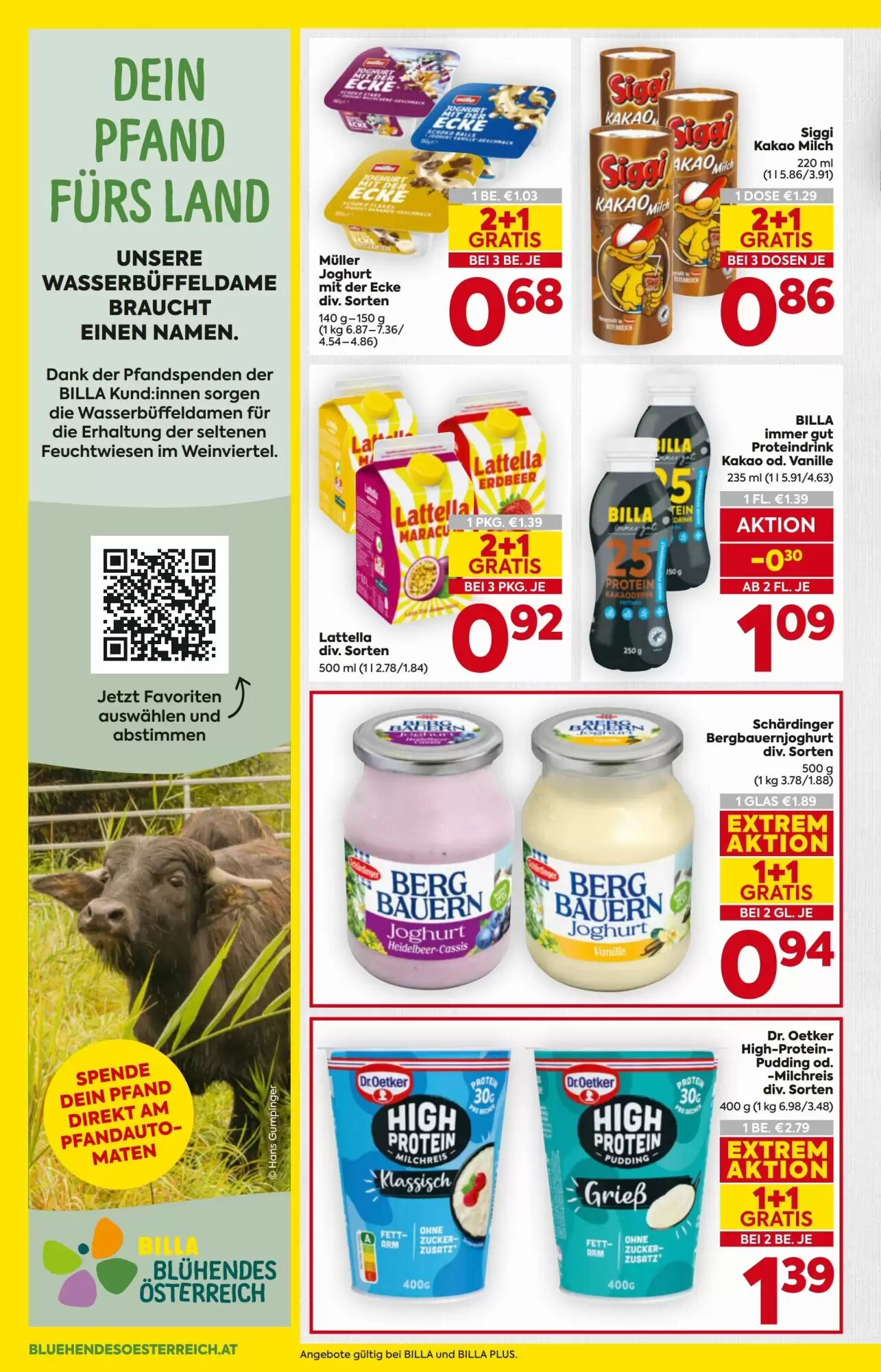 Billa Flugblatt (ab 03.09.2026) - Angebote und Prospekt - Seite 8