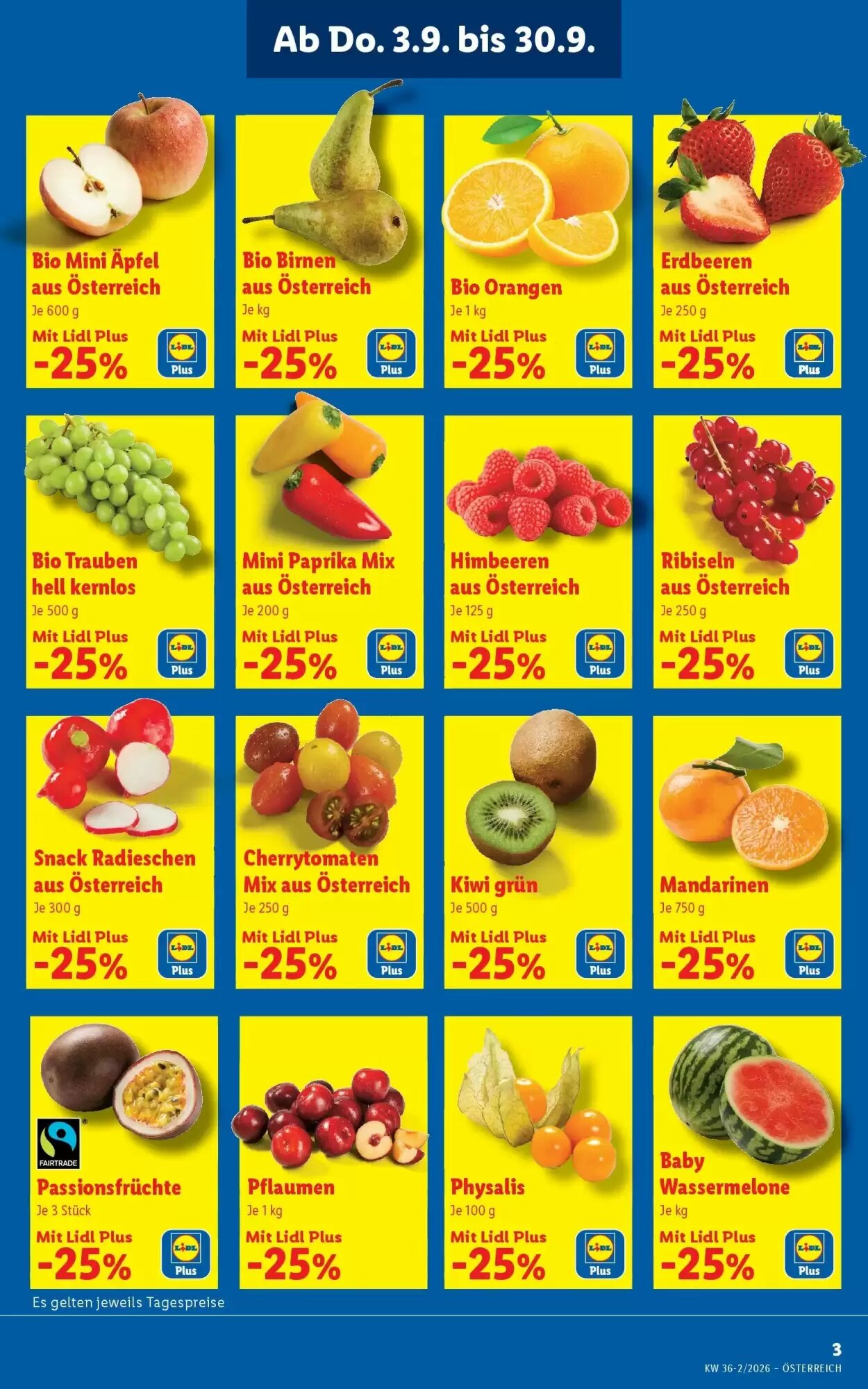Lidl Flugblatt (ab 03.09.2026) - Angebote und Prospekt - Seite 3
