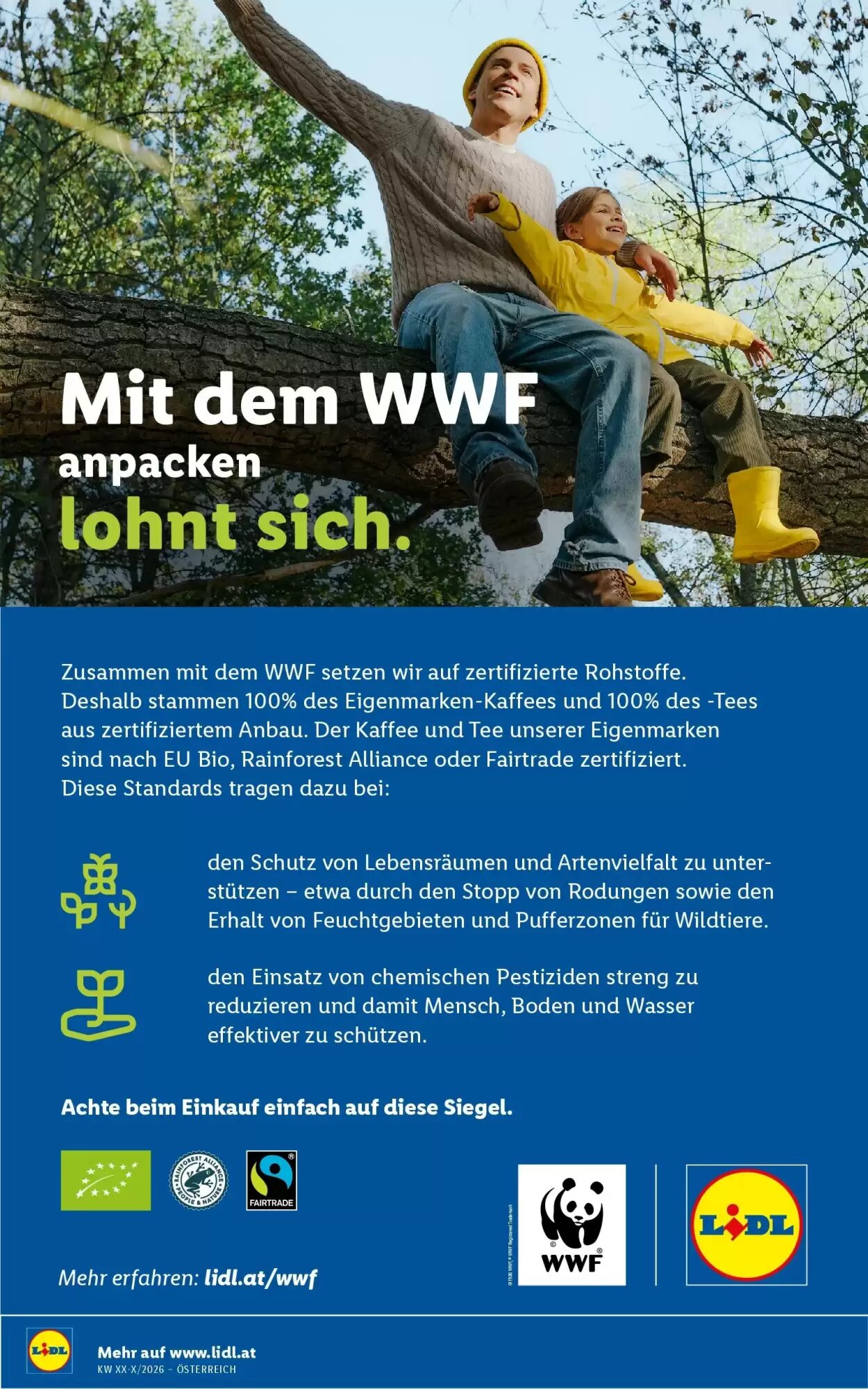 Lidl Flugblatt (ab 03.09.2026) - Angebote und Prospekt - Seite 52