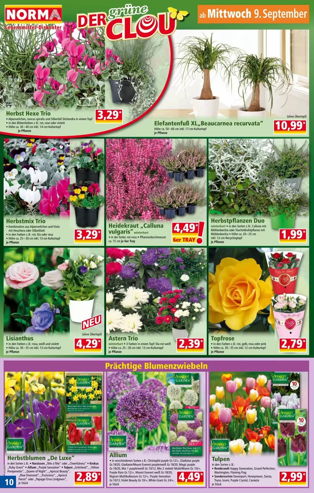 Norma Flugblatt (ab 07.09.2026) - Angebote und Prospekt - Seite 10