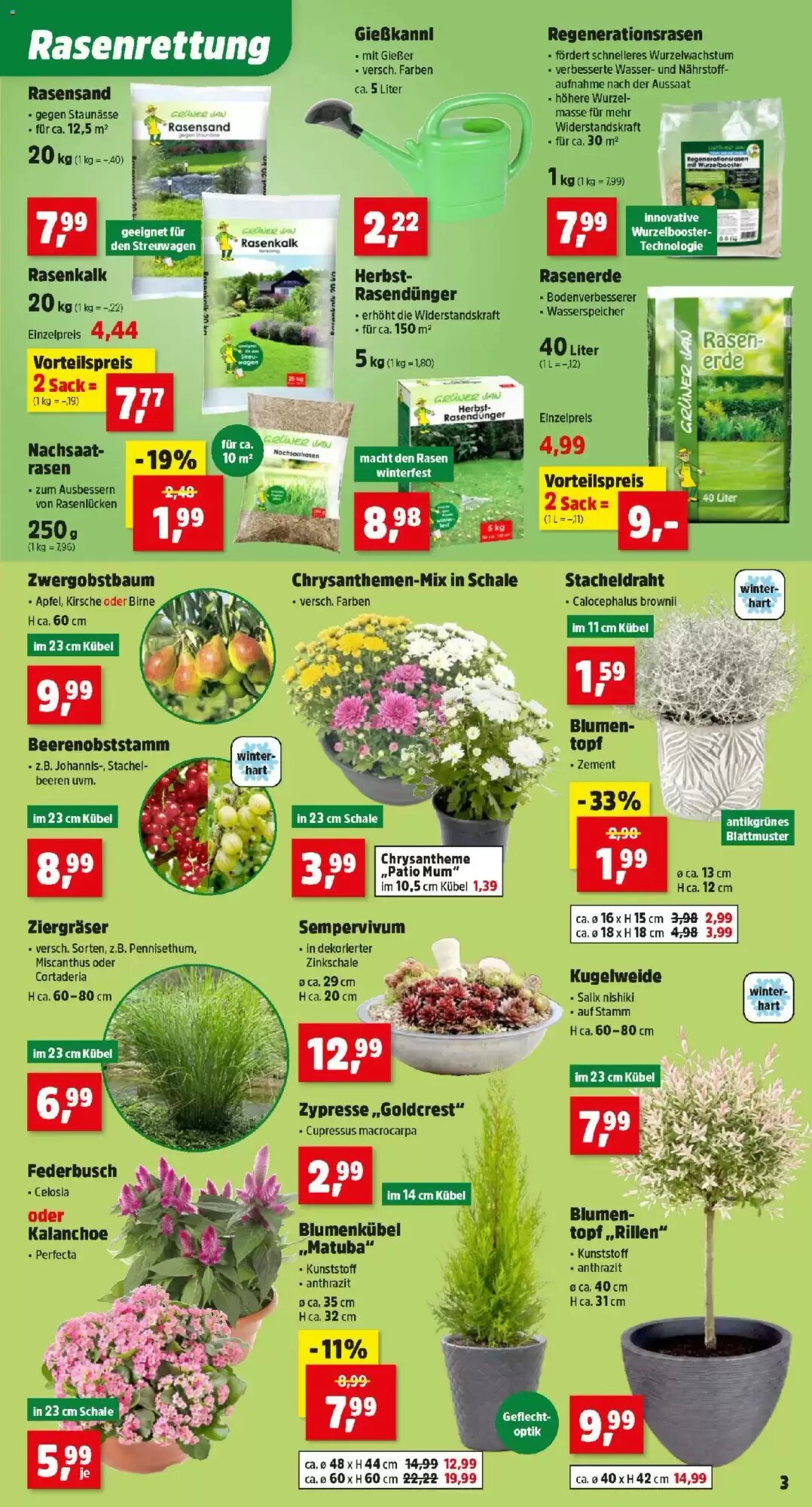 Thomas Philipps Flugblatt (ab 07.09.2026) - Angebote und Prospekt - Seite 5