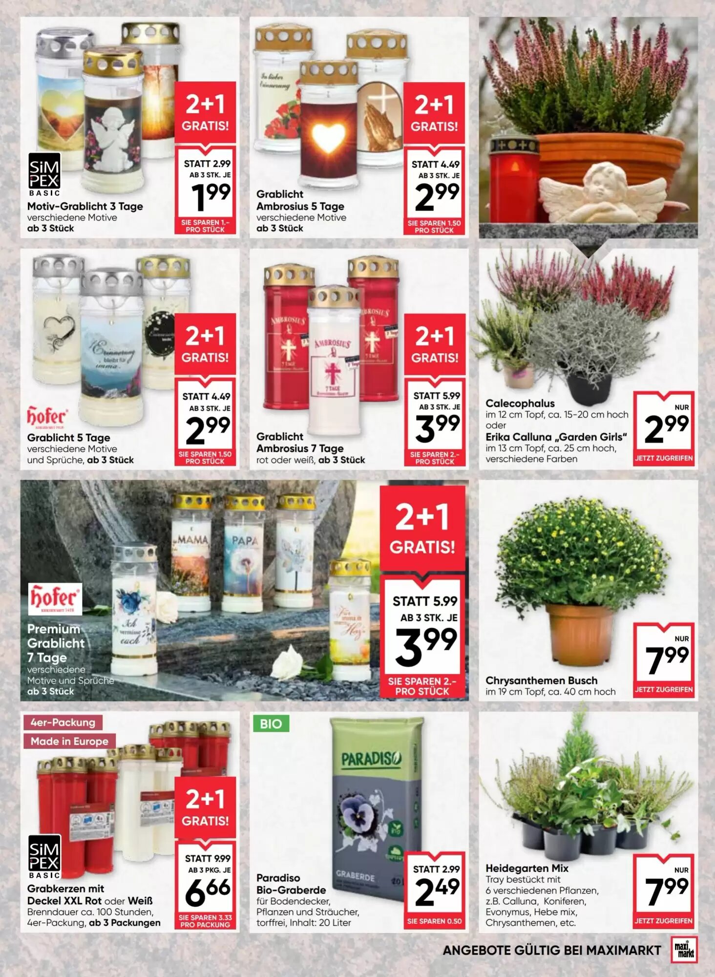 Maximarkt Flugblatt (ab 10.09.2026) - Angebote und Prospekt - Seite 17