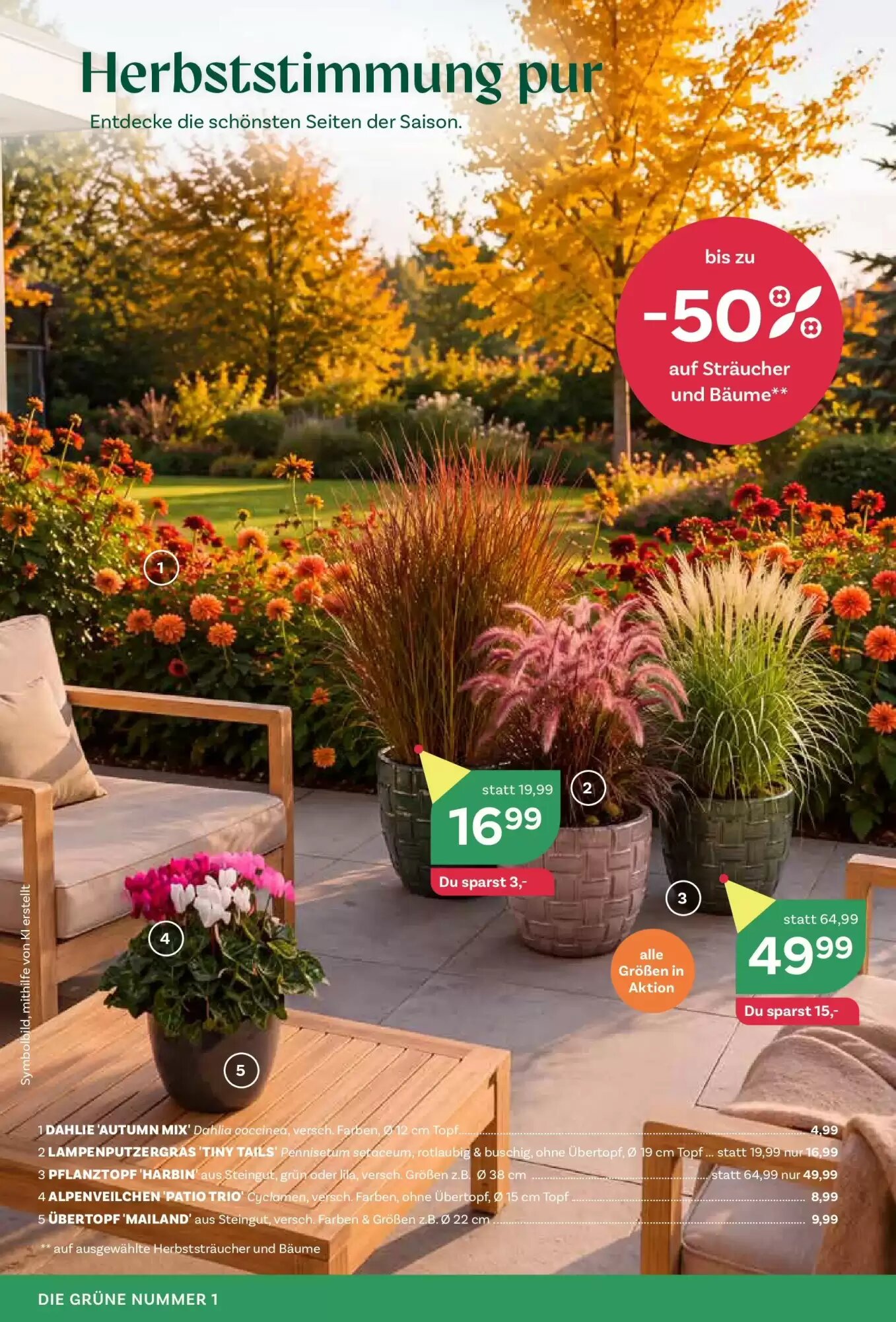 Bellaflora Flugblatt (ab 10.09.2026) - Angebote und Prospekt - Seite 4