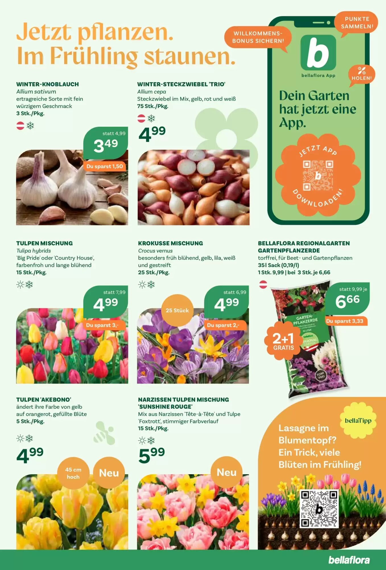 Bellaflora Flugblatt (ab 10.09.2026) - Angebote und Prospekt - Seite 5