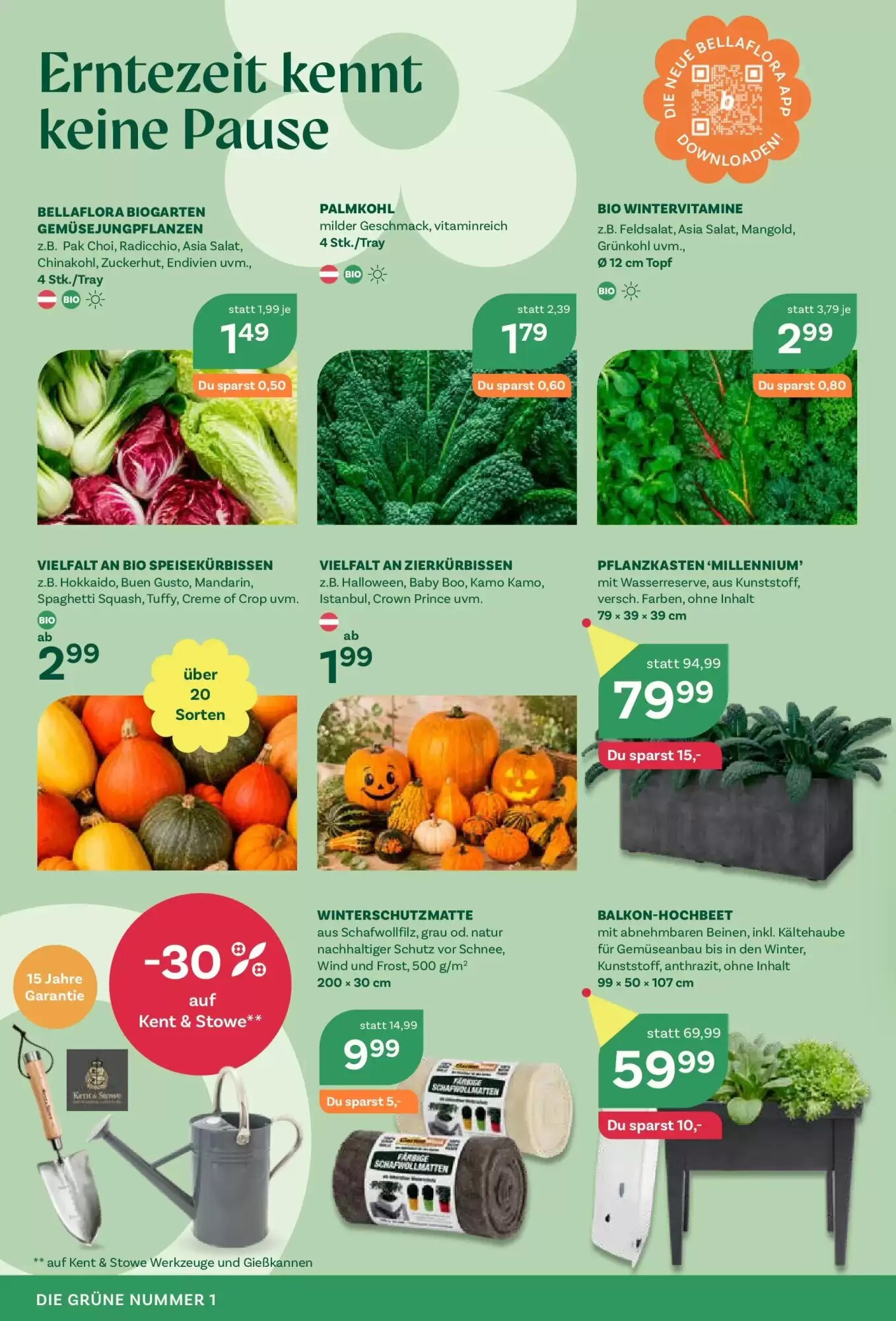 Bellaflora Flugblatt (ab 10.09.2026) - Angebote und Prospekt - Seite 6