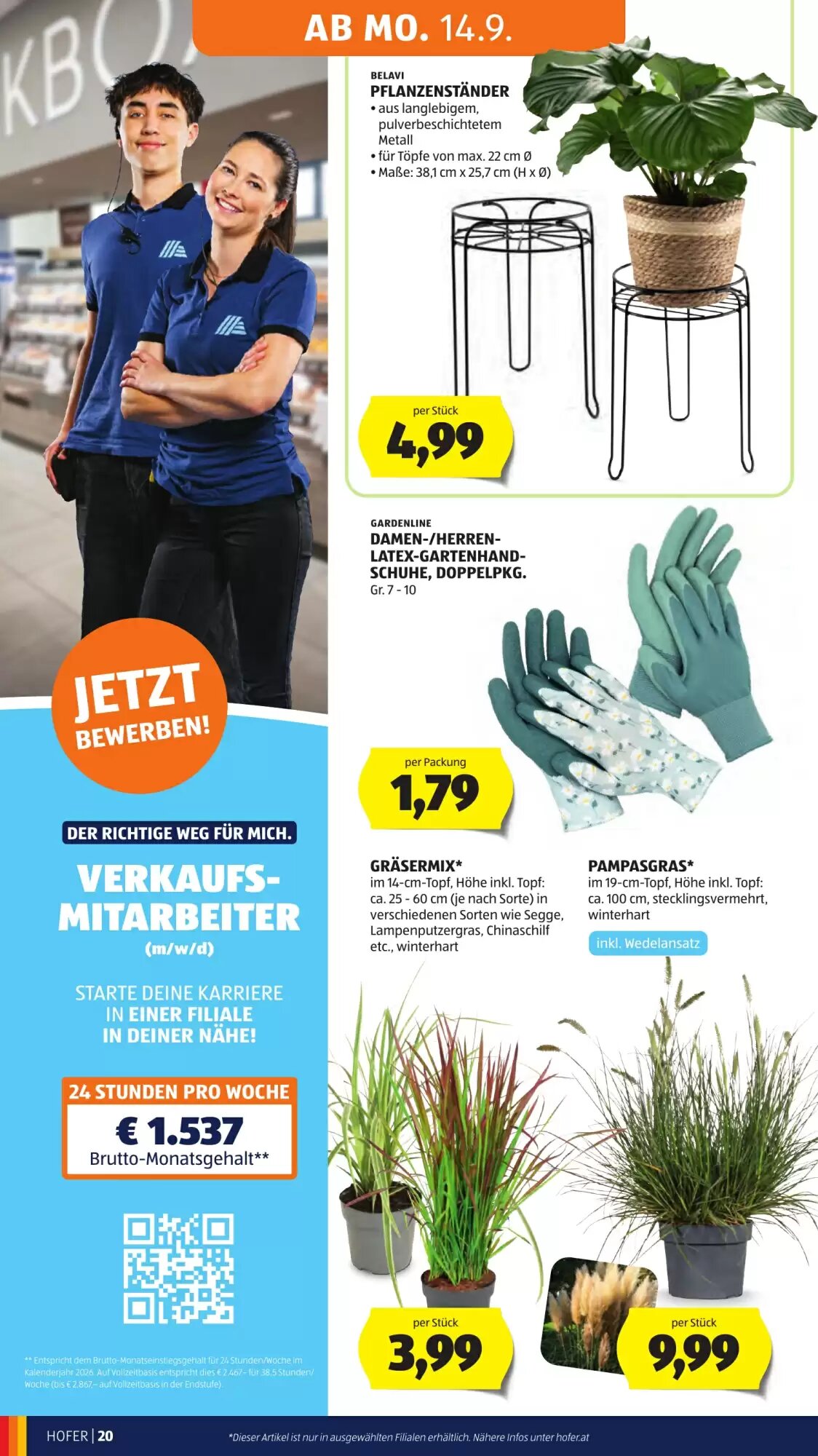 Hofer Flugblatt (ab 11.09.2026) - Angebote und Prospekt - Seite 30