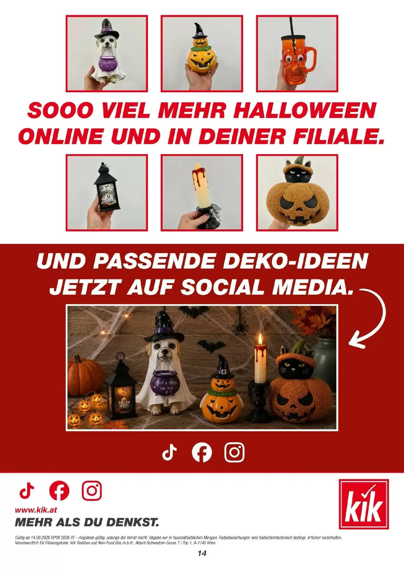 KiK Flugblatt (ab 13.09.2026) - Angebote und Prospekt - Seite 14