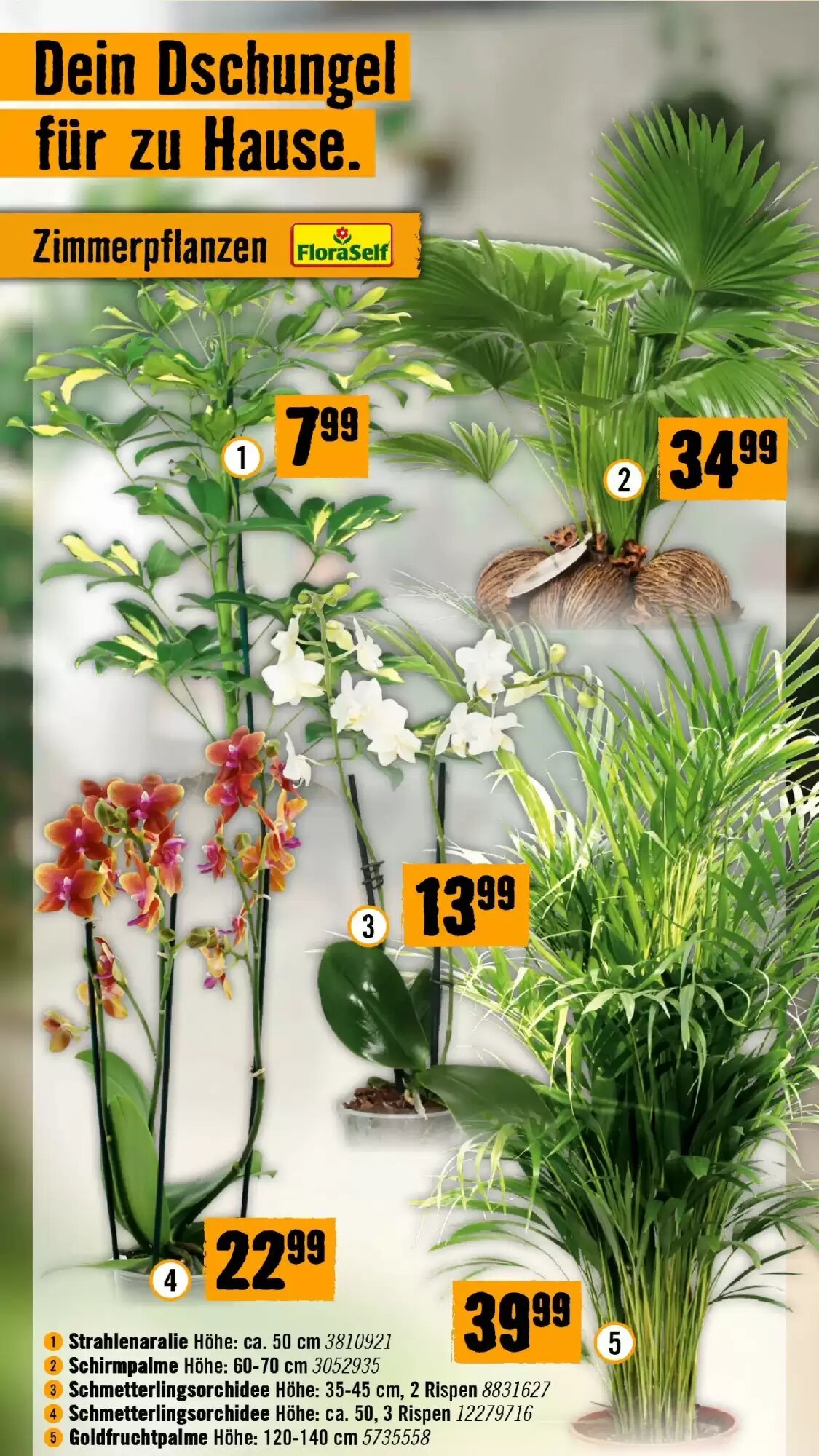Hornbach Flugblatt (ab 16.09.2026) - Angebote und Prospekt - Seite 42