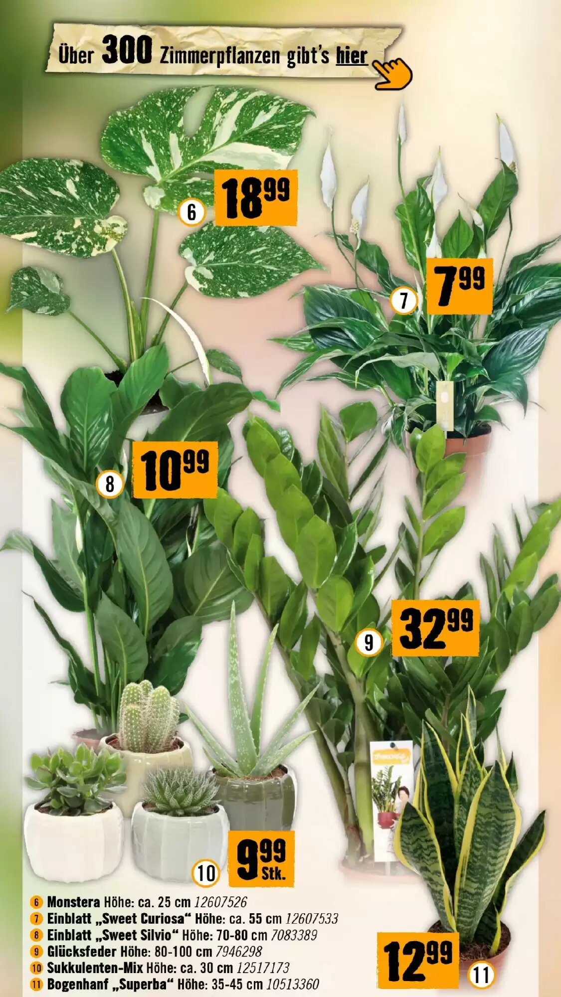Hornbach Flugblatt (ab 16.09.2026) - Angebote und Prospekt - Seite 43
