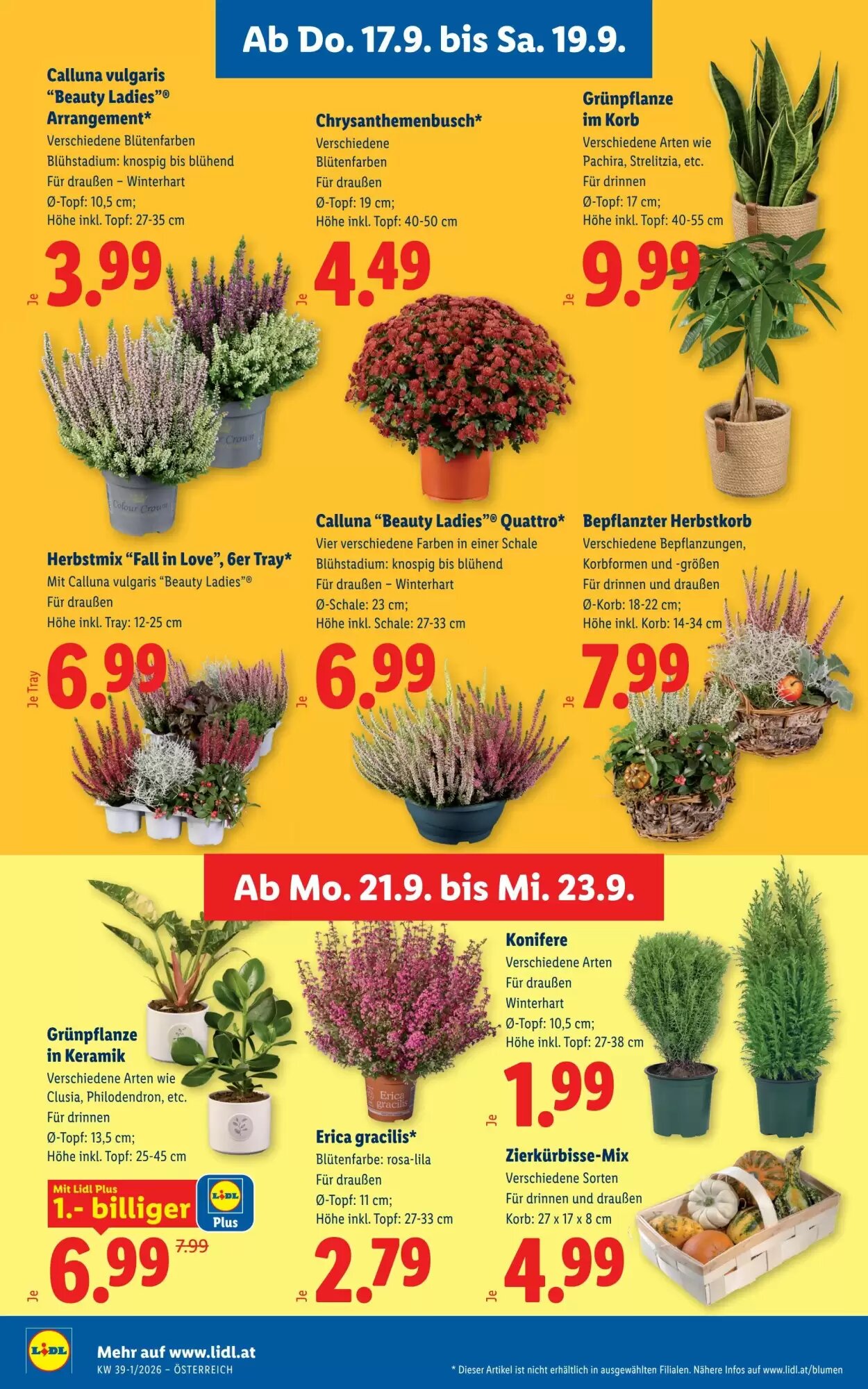 Lidl Flugblatt (ab 17.09.2026) - Angebote und Prospekt - Seite 28