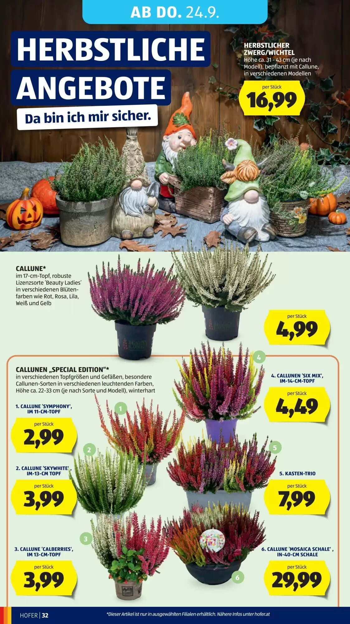 Hofer Flugblatt (ab 18.09.2026) - Angebote und Prospekt - Seite 38