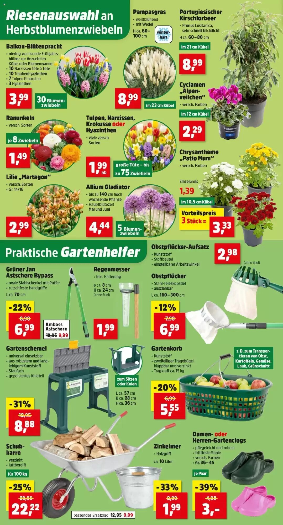 Thomas Philipps Flugblatt (ab 21.09.2026) - Angebote und Prospekt - Seite 2