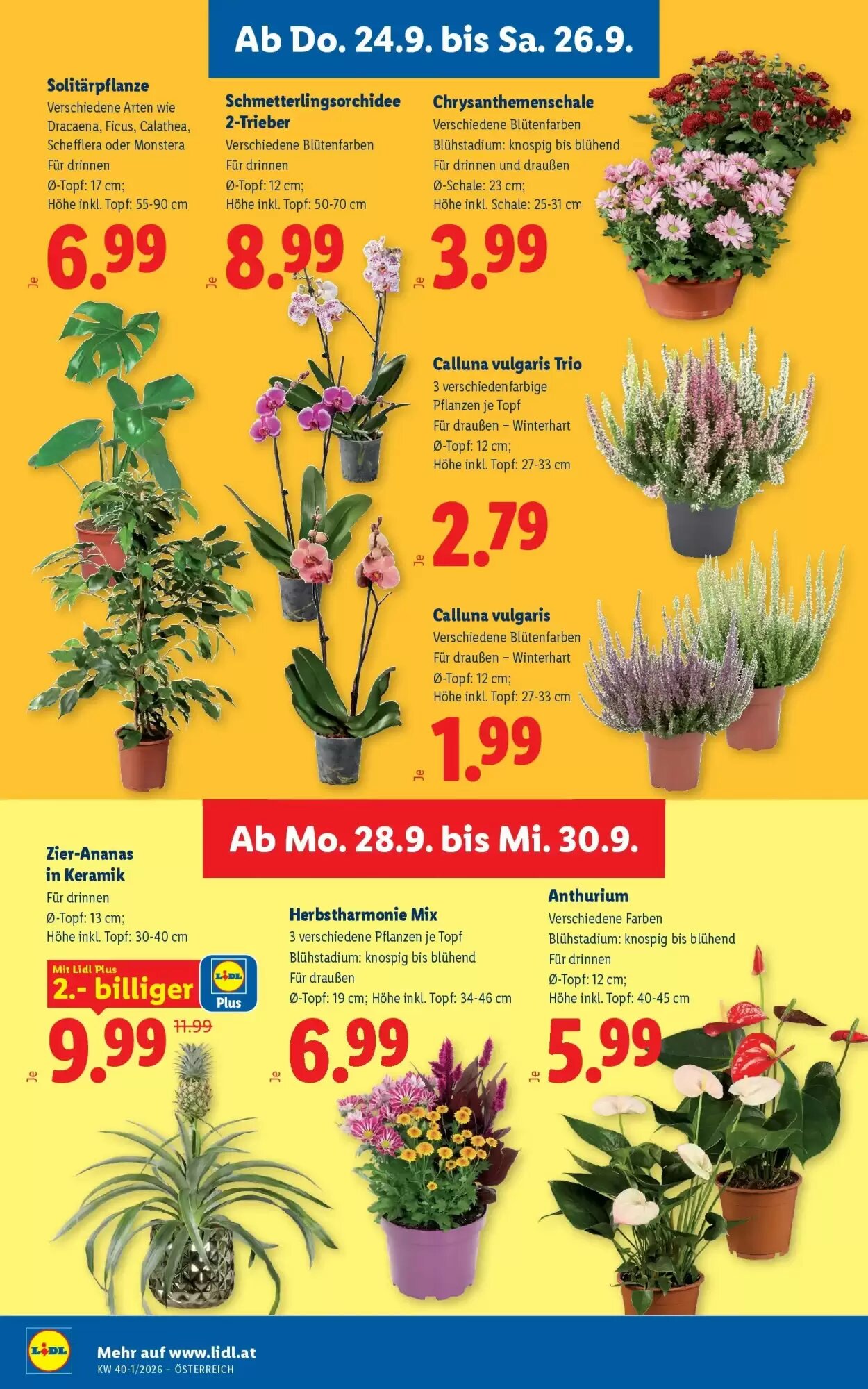 Lidl Flugblatt (ab 24.09.2026) - Angebote und Prospekt - Seite 28