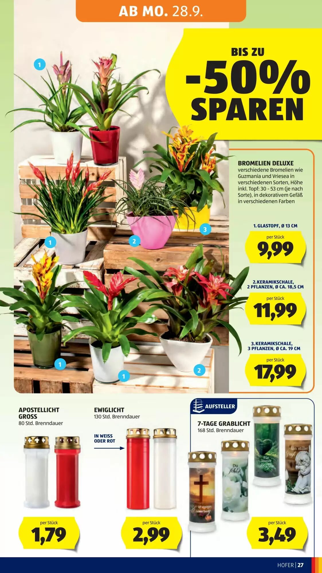 Hofer Flugblatt (ab 25.09.2026) - Angebote und Prospekt - Seite 35