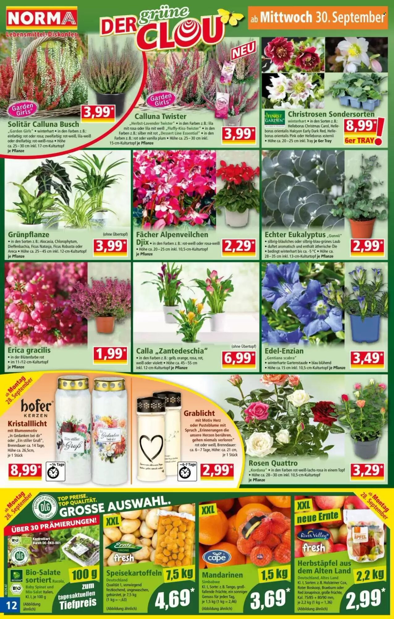 Norma Flugblatt (ab 28.09.2026) - Angebote und Prospekt - Seite 12