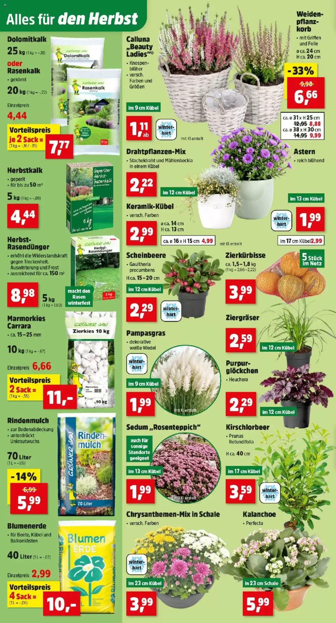 Thomas Philipps Flugblatt (ab 28.09.2026) - Angebote und Prospekt - Seite 2