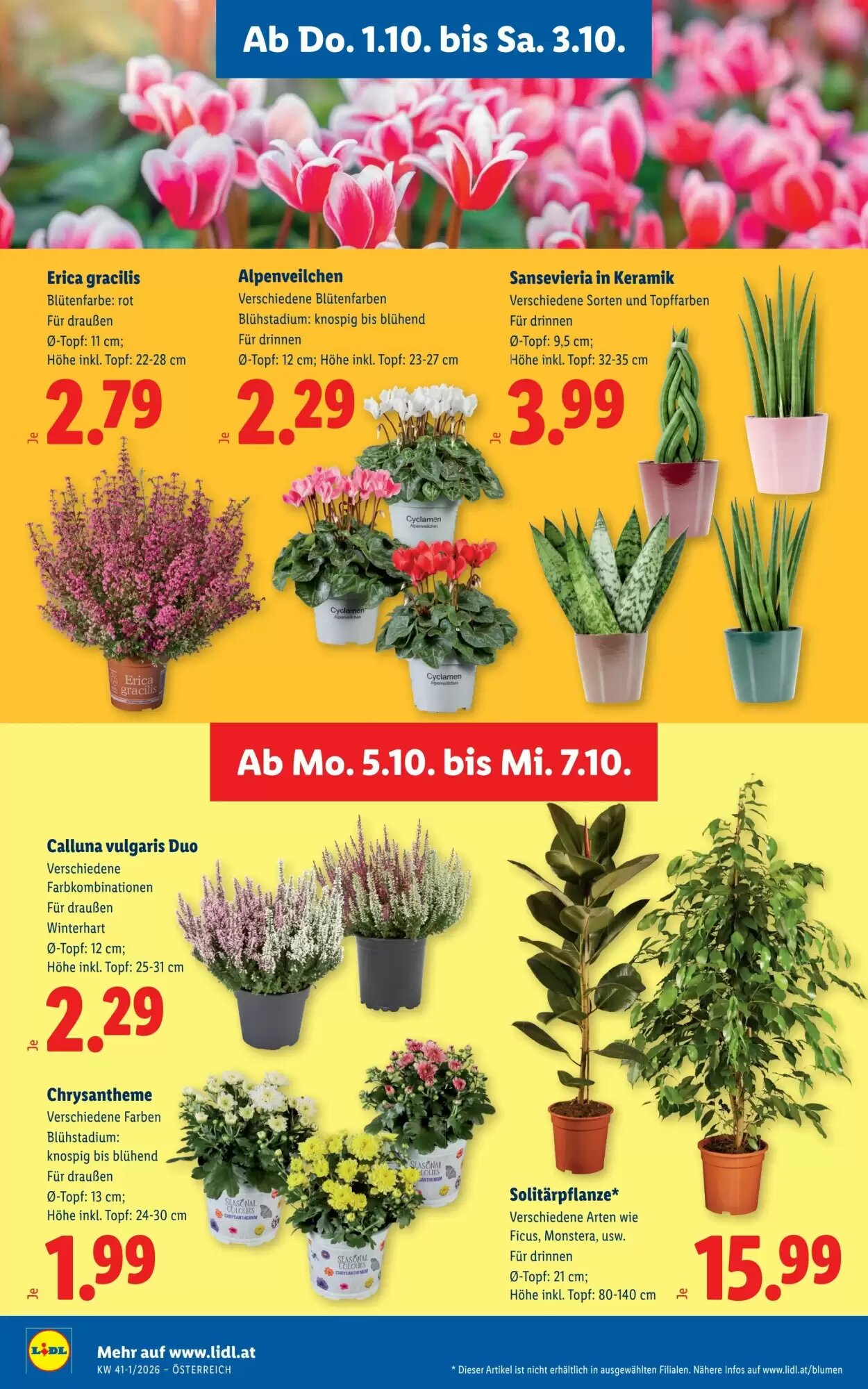 Lidl Flugblatt (ab 01.10.2026) - Angebote und Prospekt - Seite 30