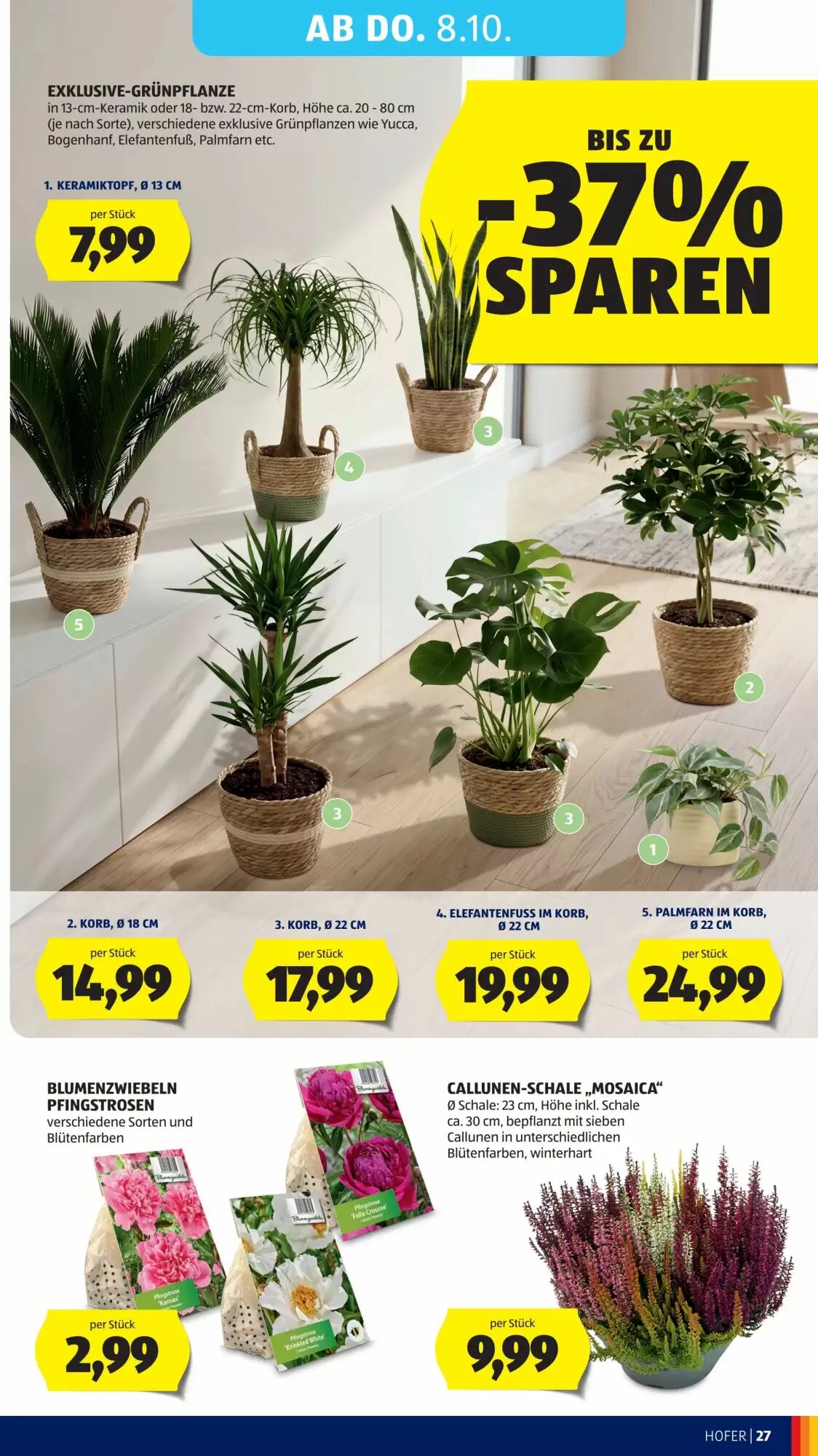 Hofer Flugblatt (ab 02.10.2026) - Angebote und Prospekt - Seite 37