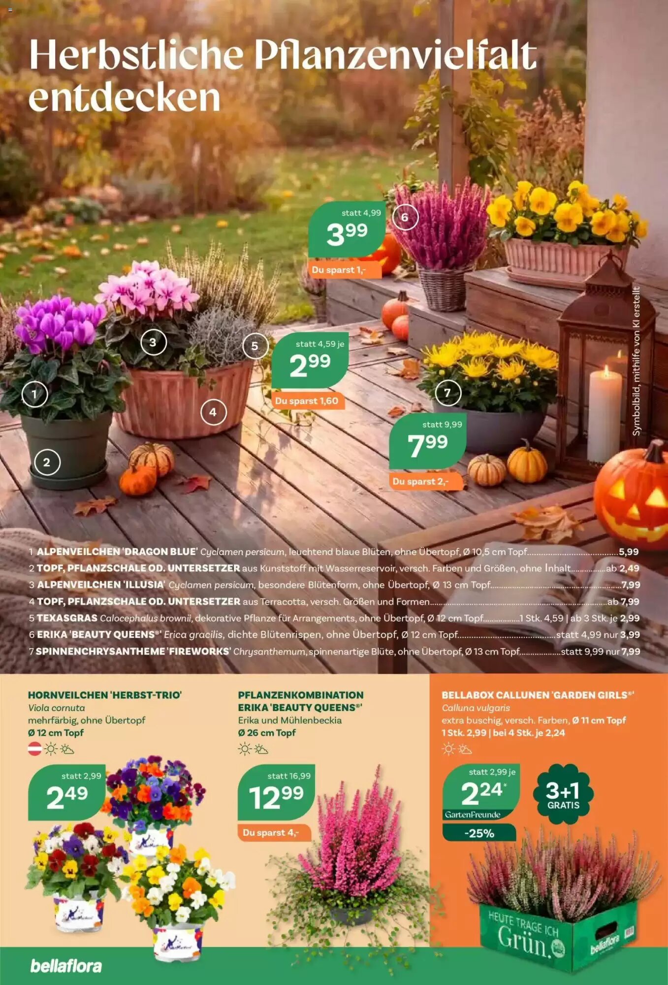 Bellaflora Flugblatt (ab 08.10.2026) - Angebote und Prospekt - Seite 2