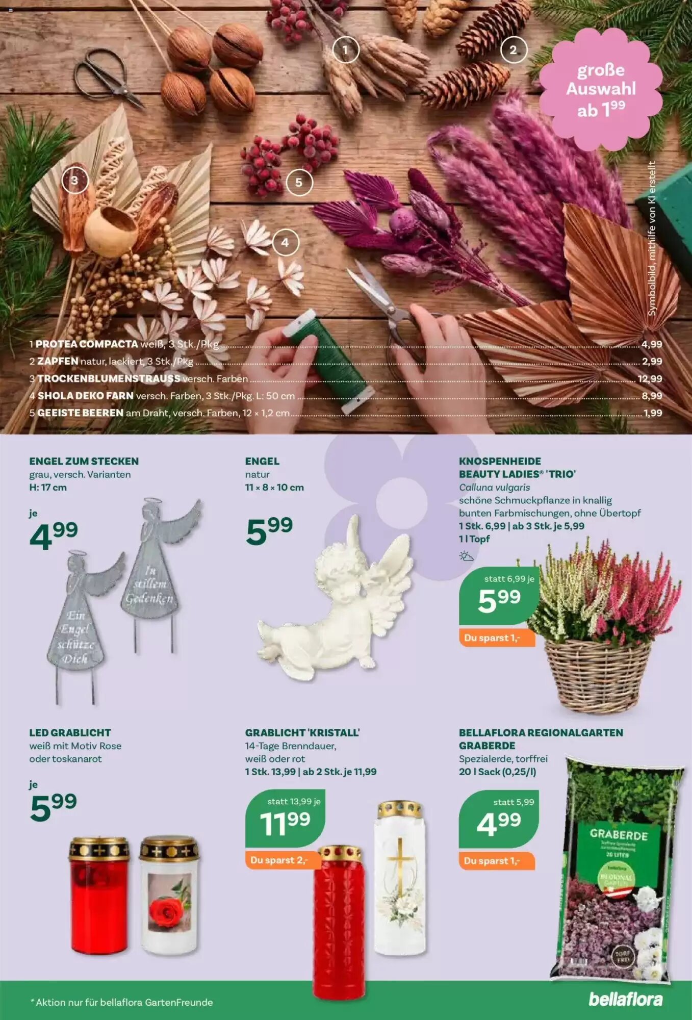 Bellaflora Flugblatt (ab 08.10.2026) - Angebote und Prospekt - Seite 7