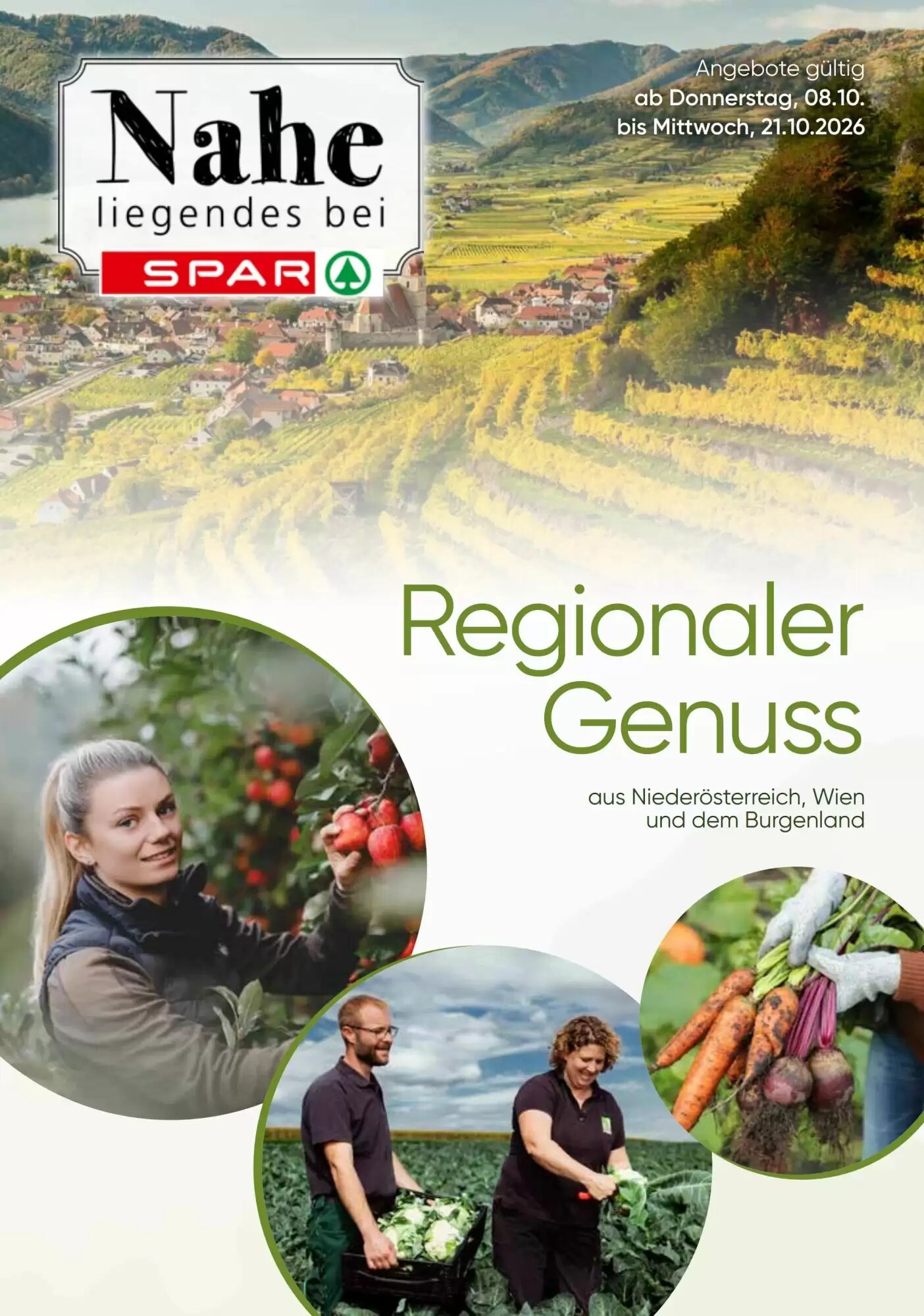 SPAR Gourmet Flugblatt (ab 08.10.2026) - Angebote und Prospekt - Seite 13