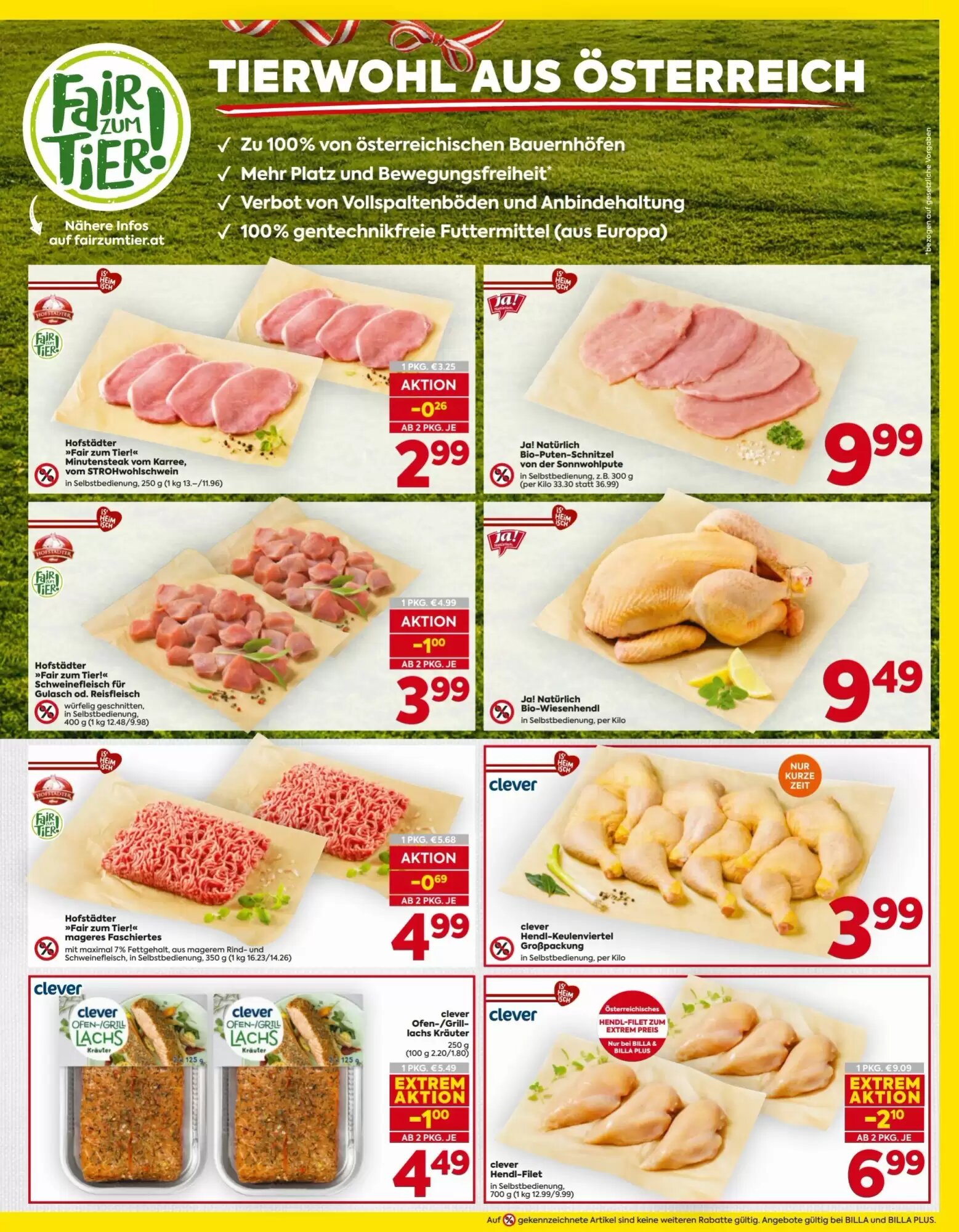Billa Flugblatt (ab 08.10.2026) - Angebote und Prospekt - Seite 5