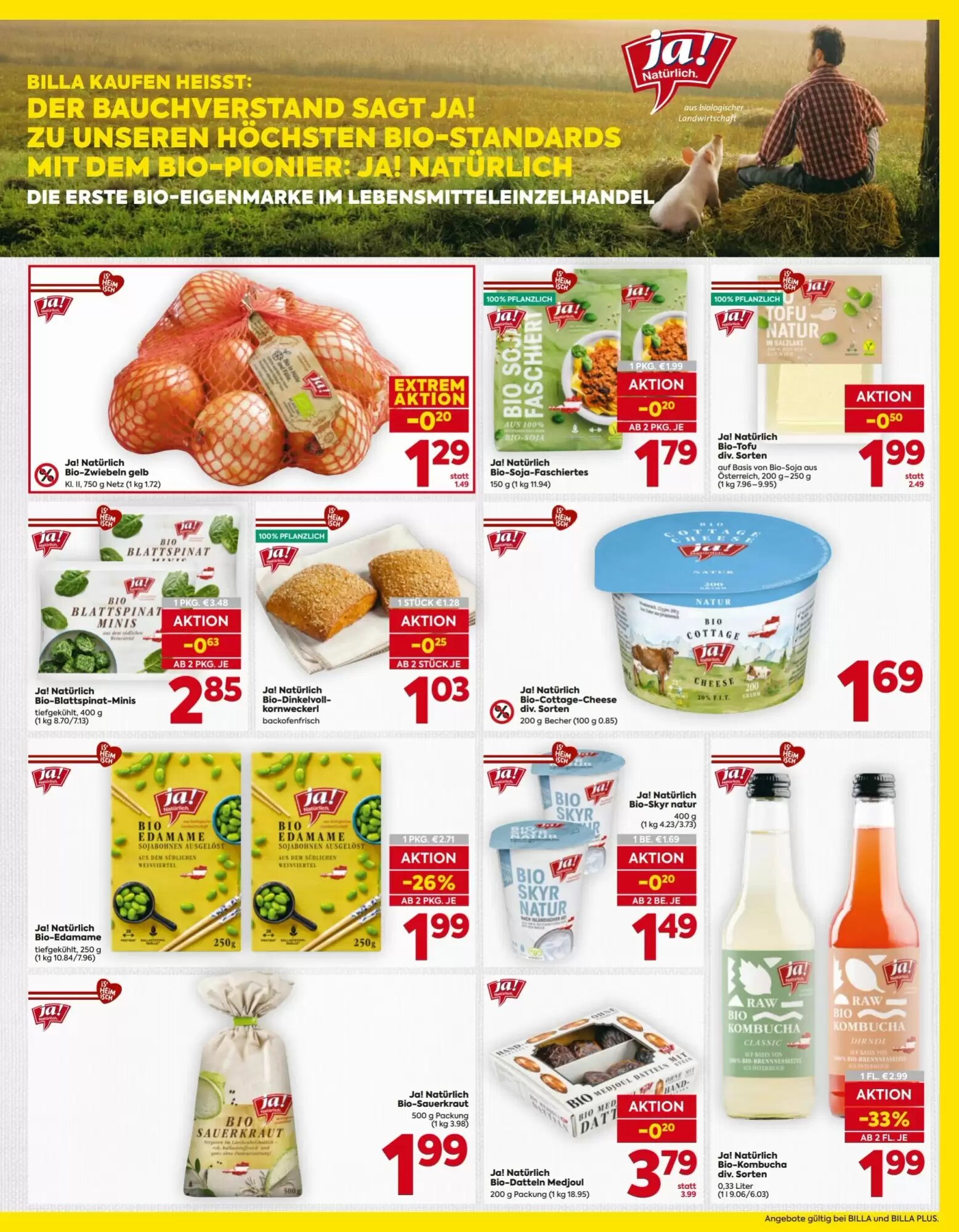 Billa Flugblatt (ab 08.10.2026) - Angebote und Prospekt - Seite 9