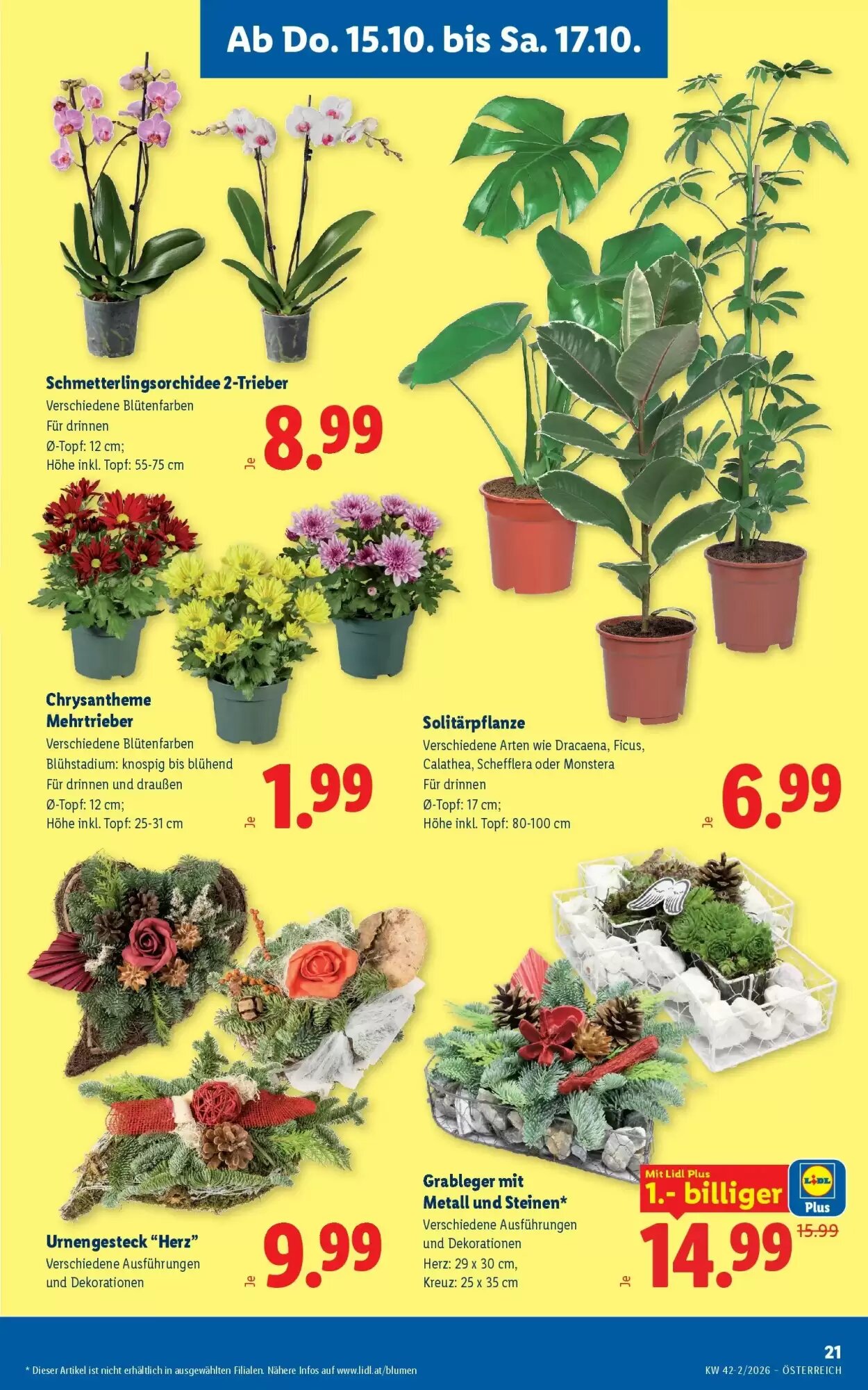 Lidl Flugblatt (ab 10.10.2026) - Angebote und Prospekt - Seite 25
