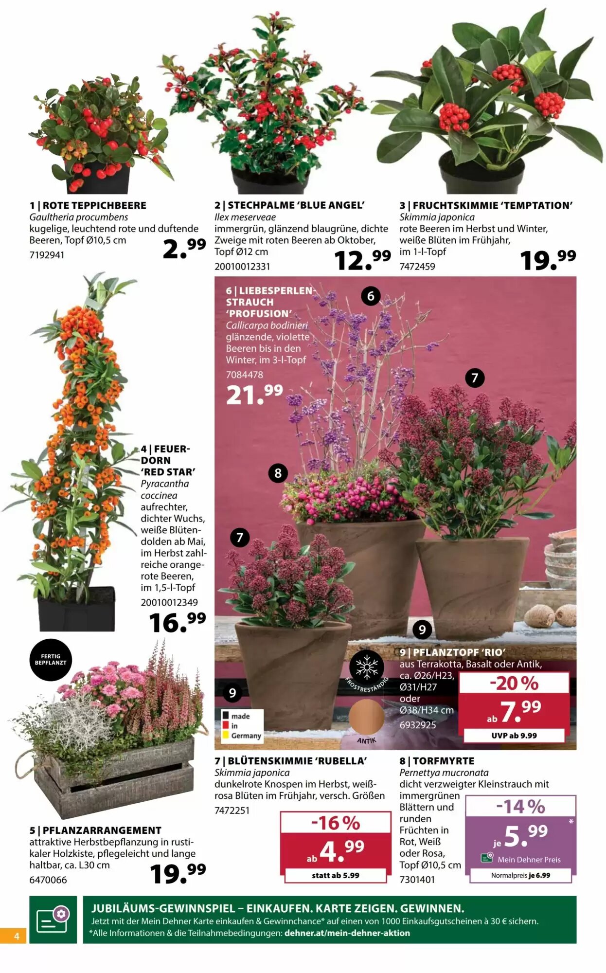 Dehner Flugblatt (ab 14.10.2026) - Angebote und Prospekt - Seite 4