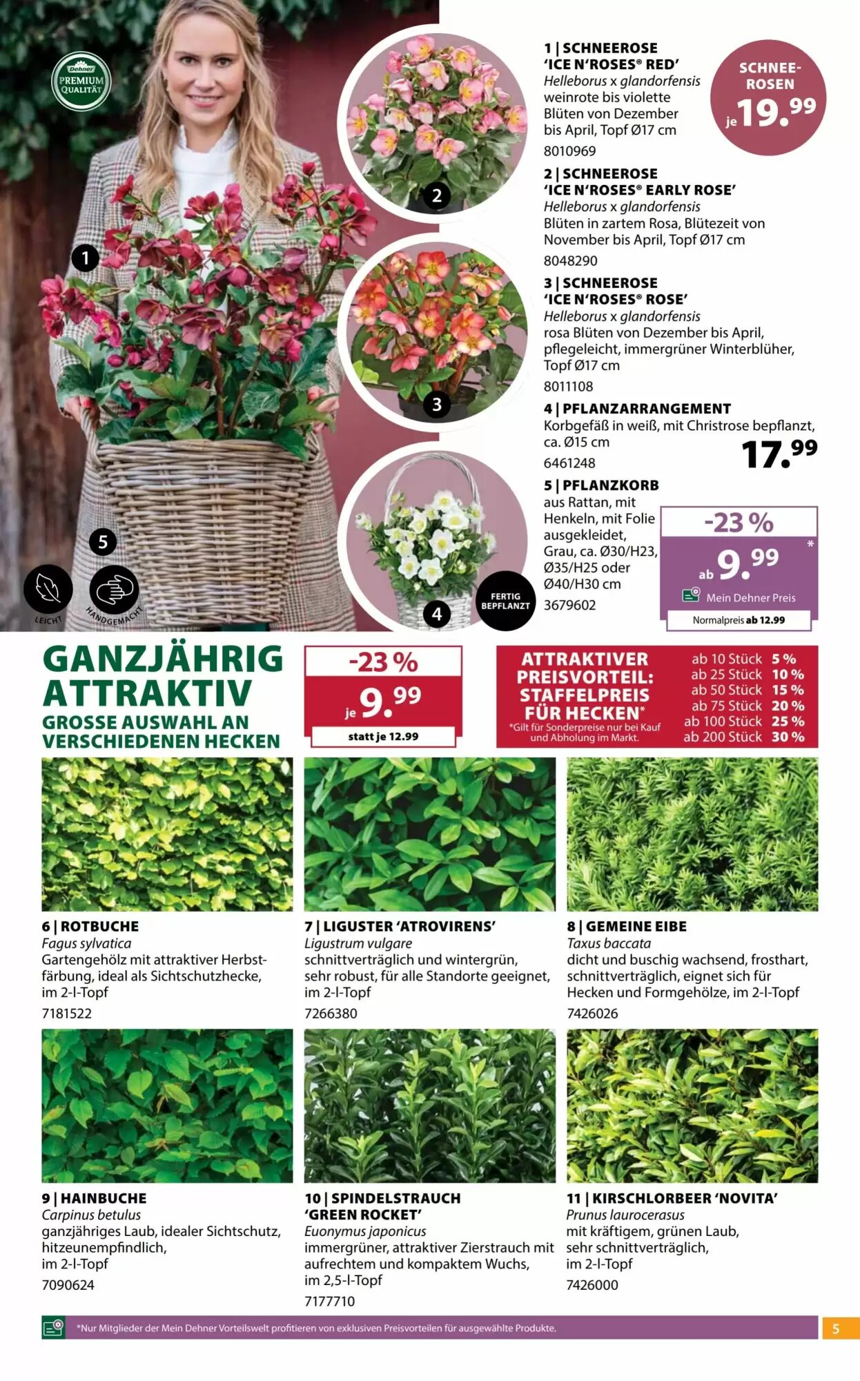 Dehner Flugblatt (ab 14.10.2026) - Angebote und Prospekt - Seite 5