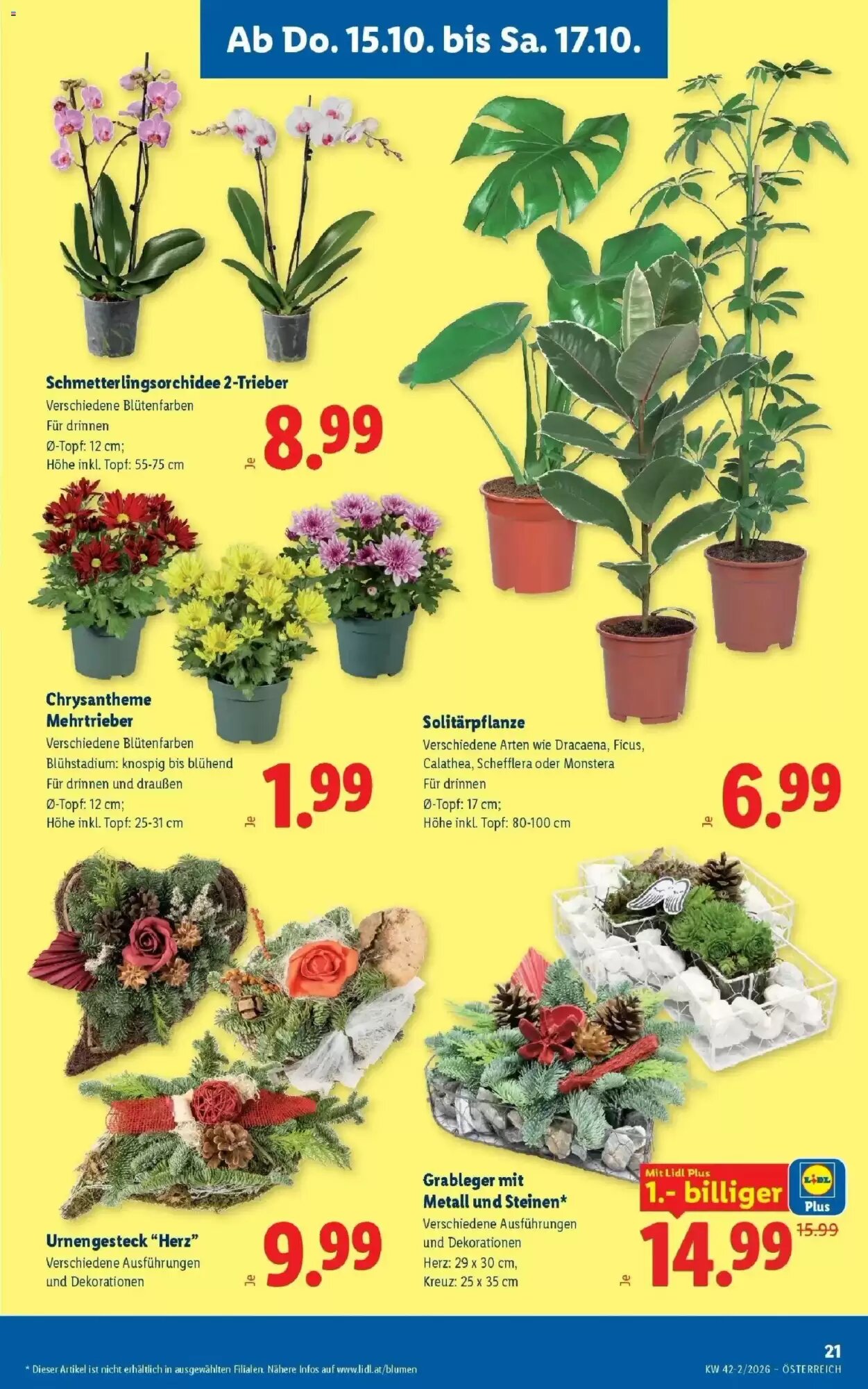 Lidl Flugblatt (ab 15.10.2026) - Angebote und Prospekt - Seite 25