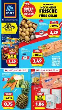 Hofer Flugblatt (ab 16.10.2026) - Angebote und Prospekt