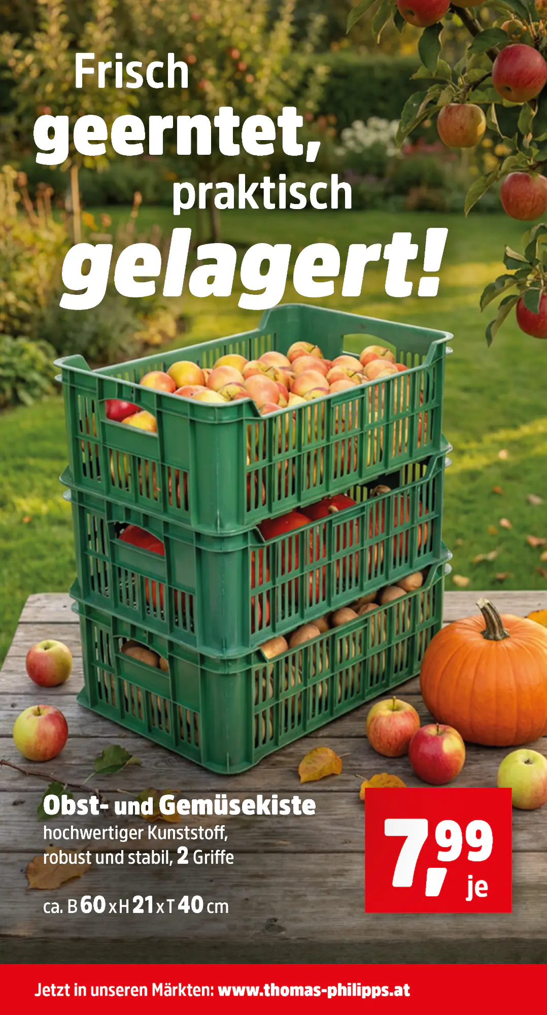 Thomas Philipps Flugblatt (ab 19.10.2026) - Angebote und Prospekt - Seite 3