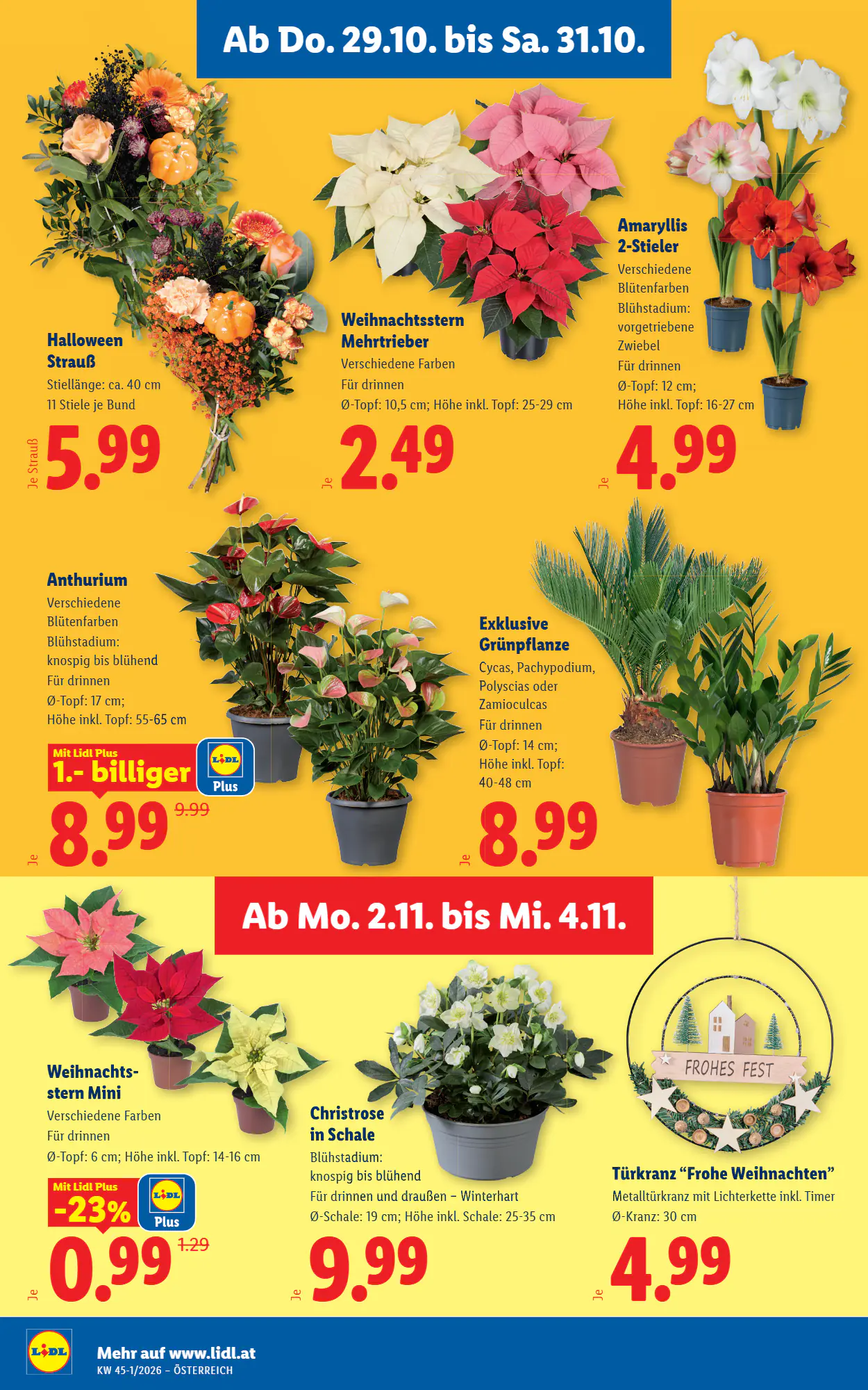 Lidl Flugblatt (ab 29.10.2026) - Angebote und Prospekt - Seite 28