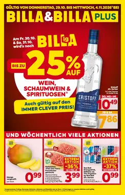 Billa Flugblatt