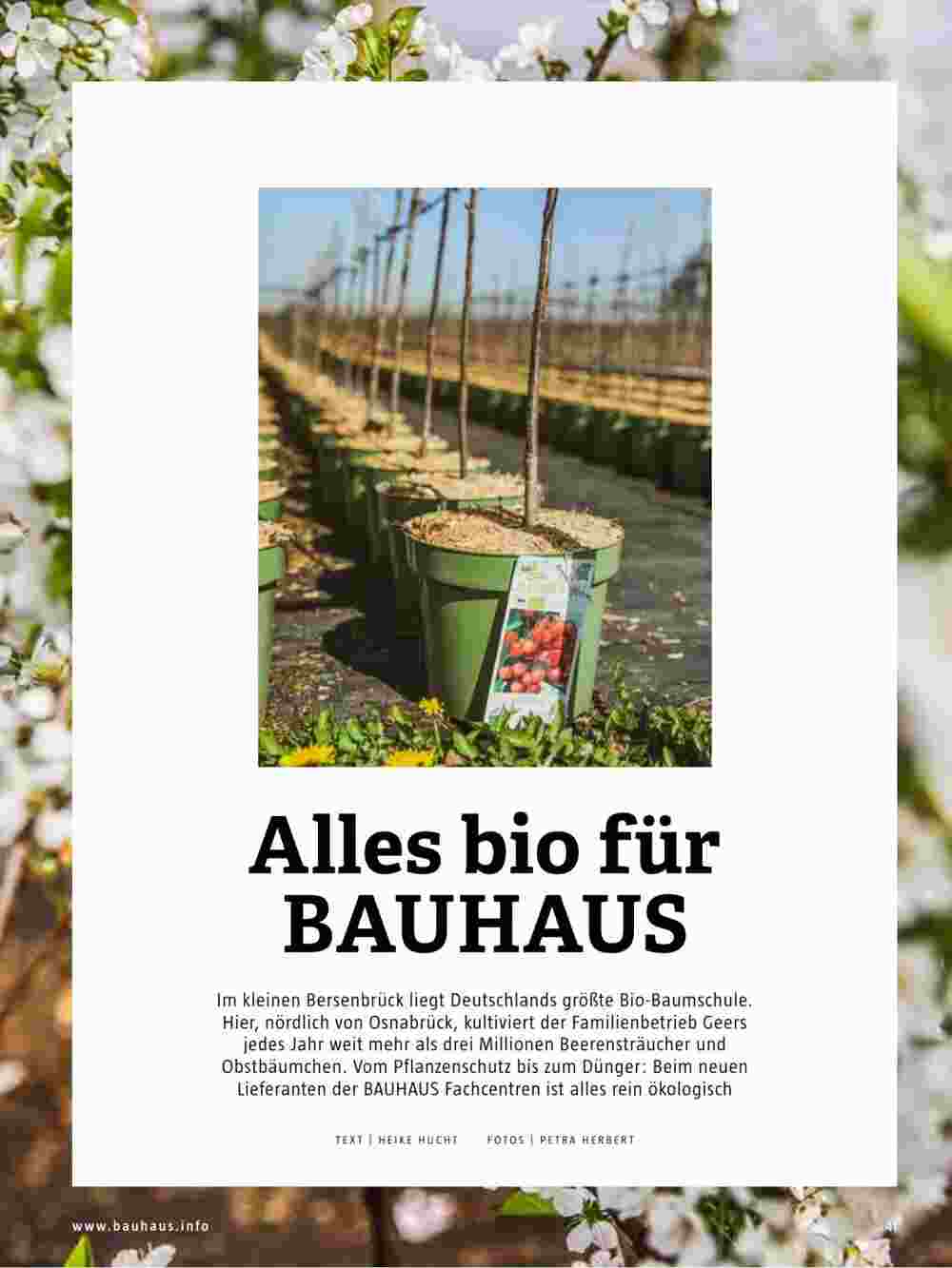 Bauhaus Prospekt (ab 13.07.2023) zum Blättern - Seite 41