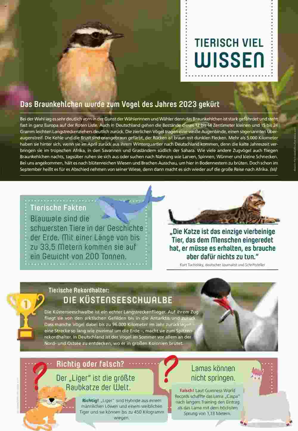 Zoo & Co Prospekt (ab 31.08.2023) zum Blättern - Seite 3