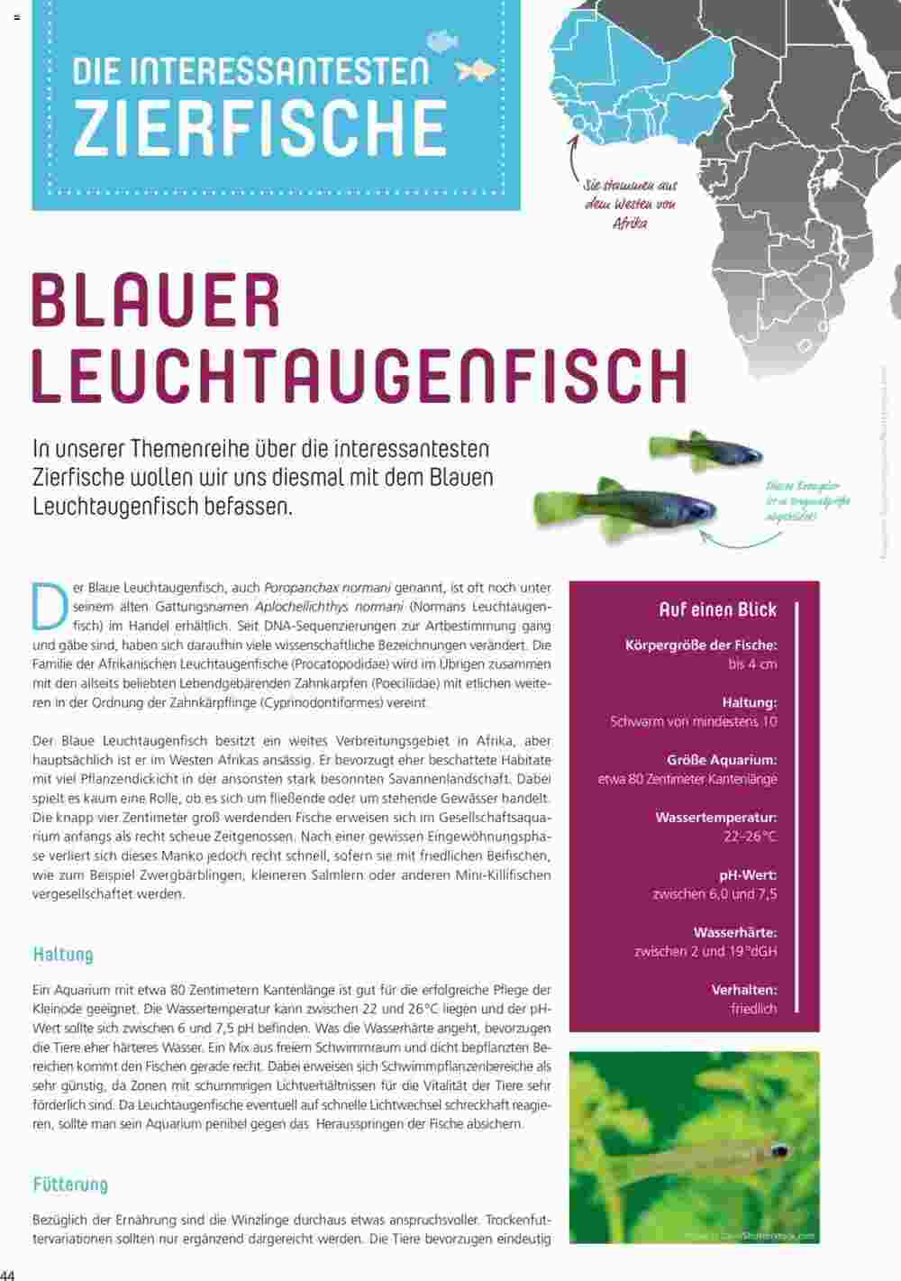 Zoo & Co Prospekt (ab 31.08.2023) zum Blättern - Seite 44