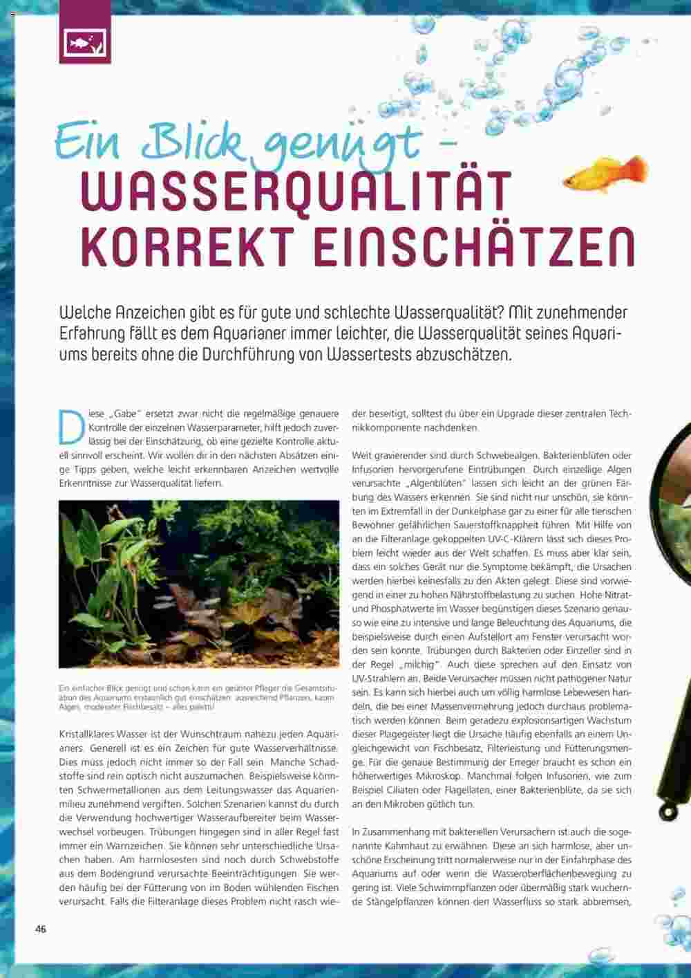 Zoo & Co Prospekt (ab 31.08.2023) zum Blättern - Seite 46