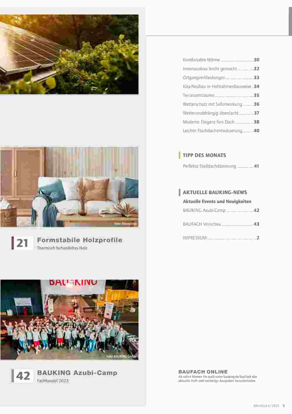 Bauking Prospekt (ab 01.09.2023) zum Blättern - Seite 5