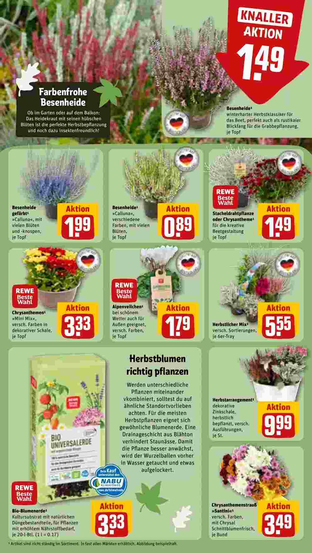 REWE Prospekt (ab 02.10.2023) zum Blättern - Seite 5