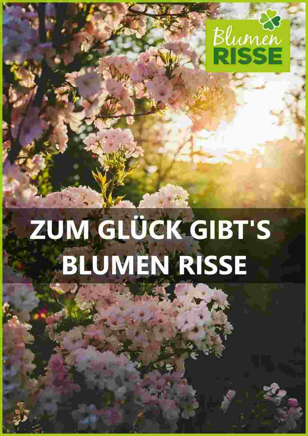 Blumen Risse Prospekt (ab 03.11.2023) zum Blättern - Seite 1