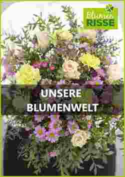 Blumen Risse Prospekt (ab 03.01.2024) zum Blättern