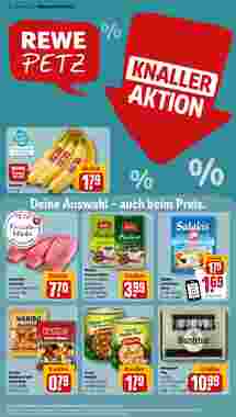 REWE PETZ Prospekt (ab 08.01.2024) zum Blättern