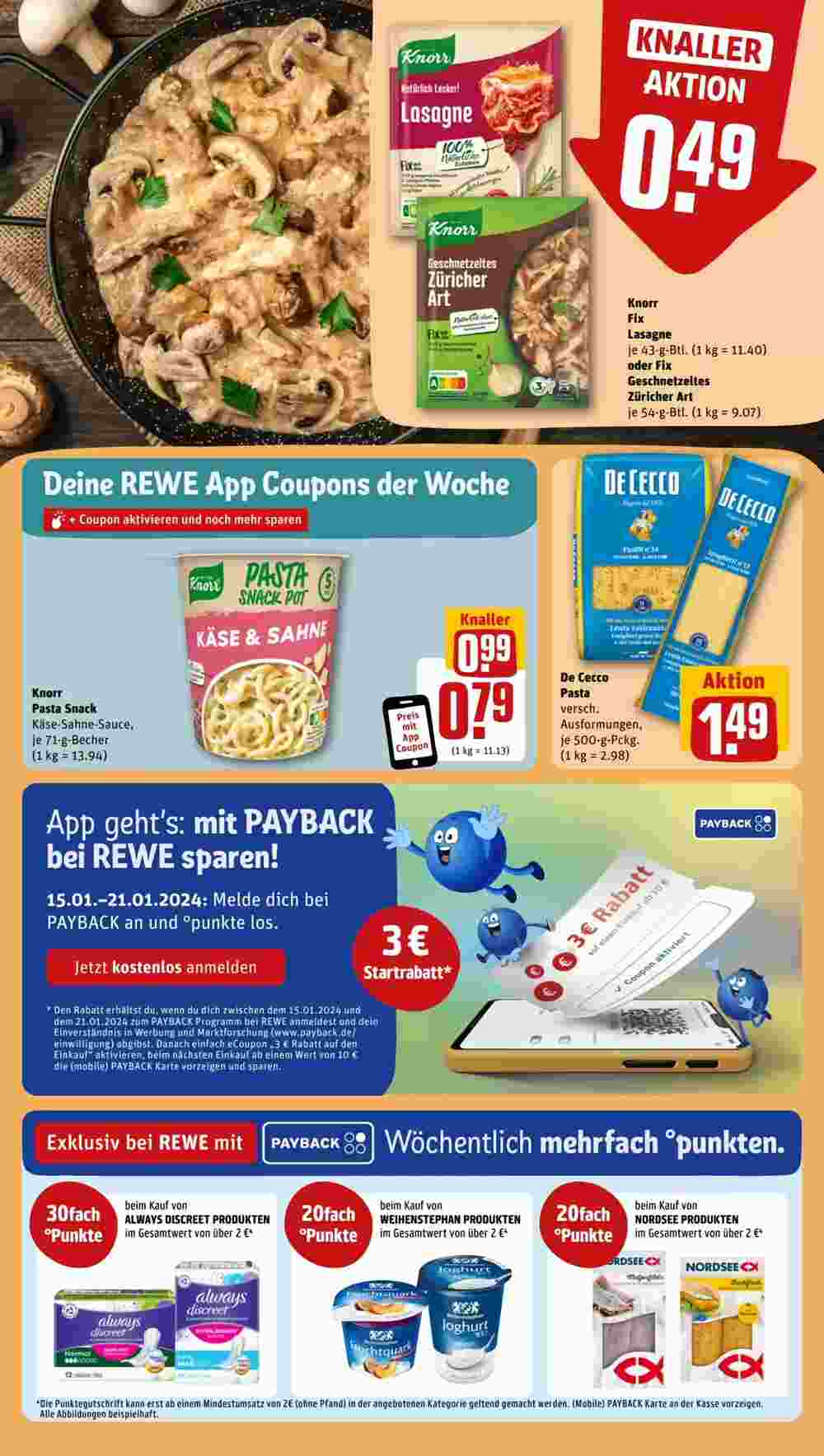 REWE PETZ Prospekt (ab 15.01.2024) zum Blättern - Seite 19