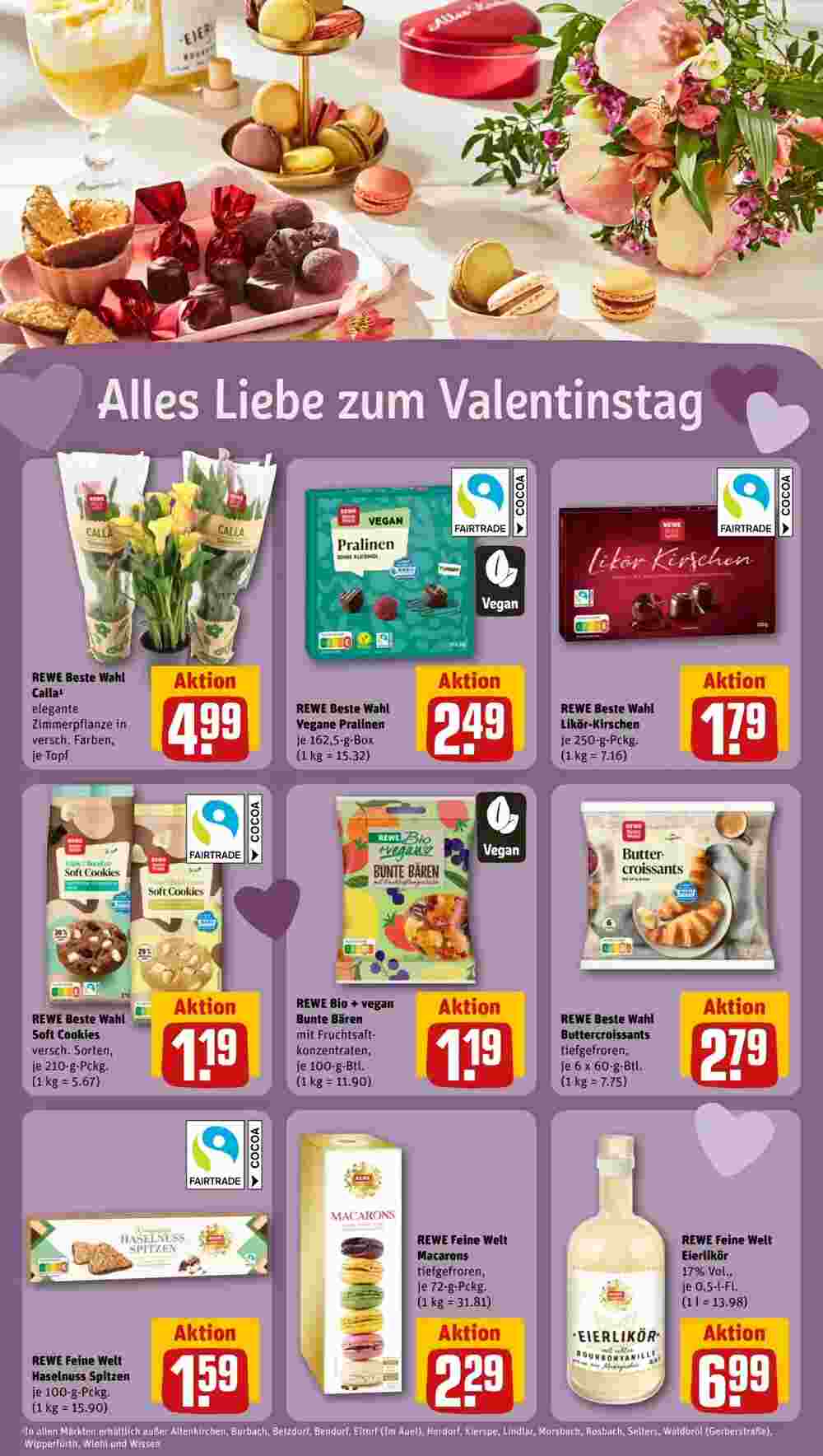 REWE PETZ Prospekt (ab 12.02.2024) zum Blättern - Seite 13