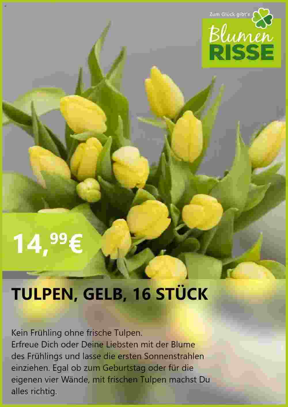 Blumen Risse Prospekt (ab 20.02.2024) zum Blättern - Seite 2